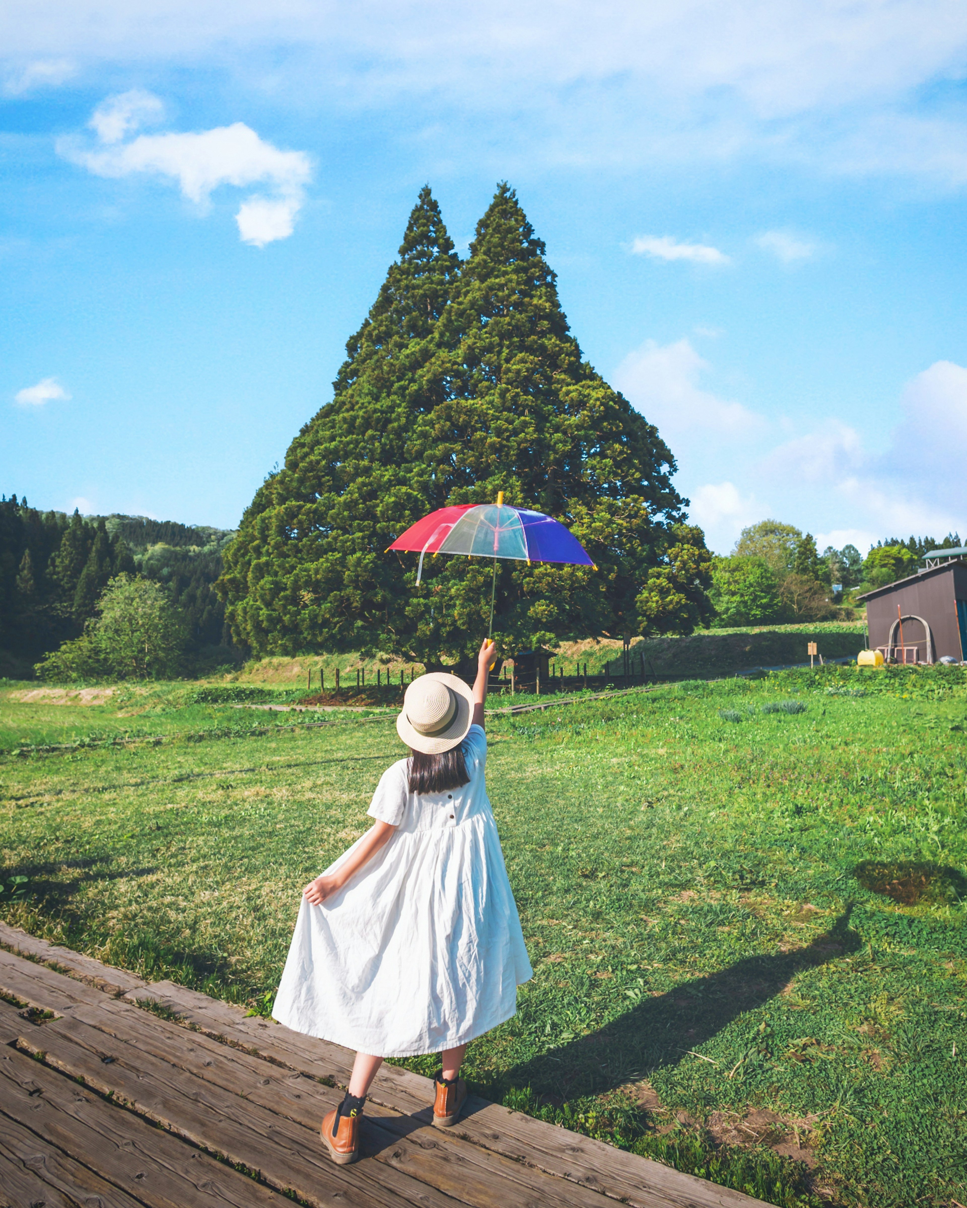 Niña sosteniendo un paraguas colorido de pie en un prado verde