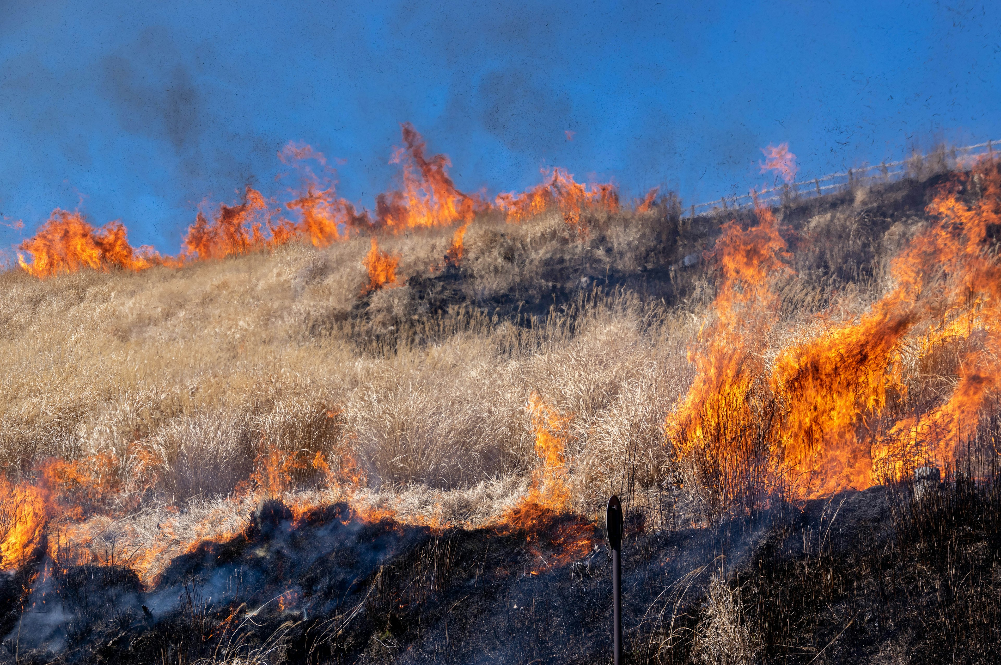 Fiamme che consumano l'erba secca su una collina sotto un cielo blu chiaro