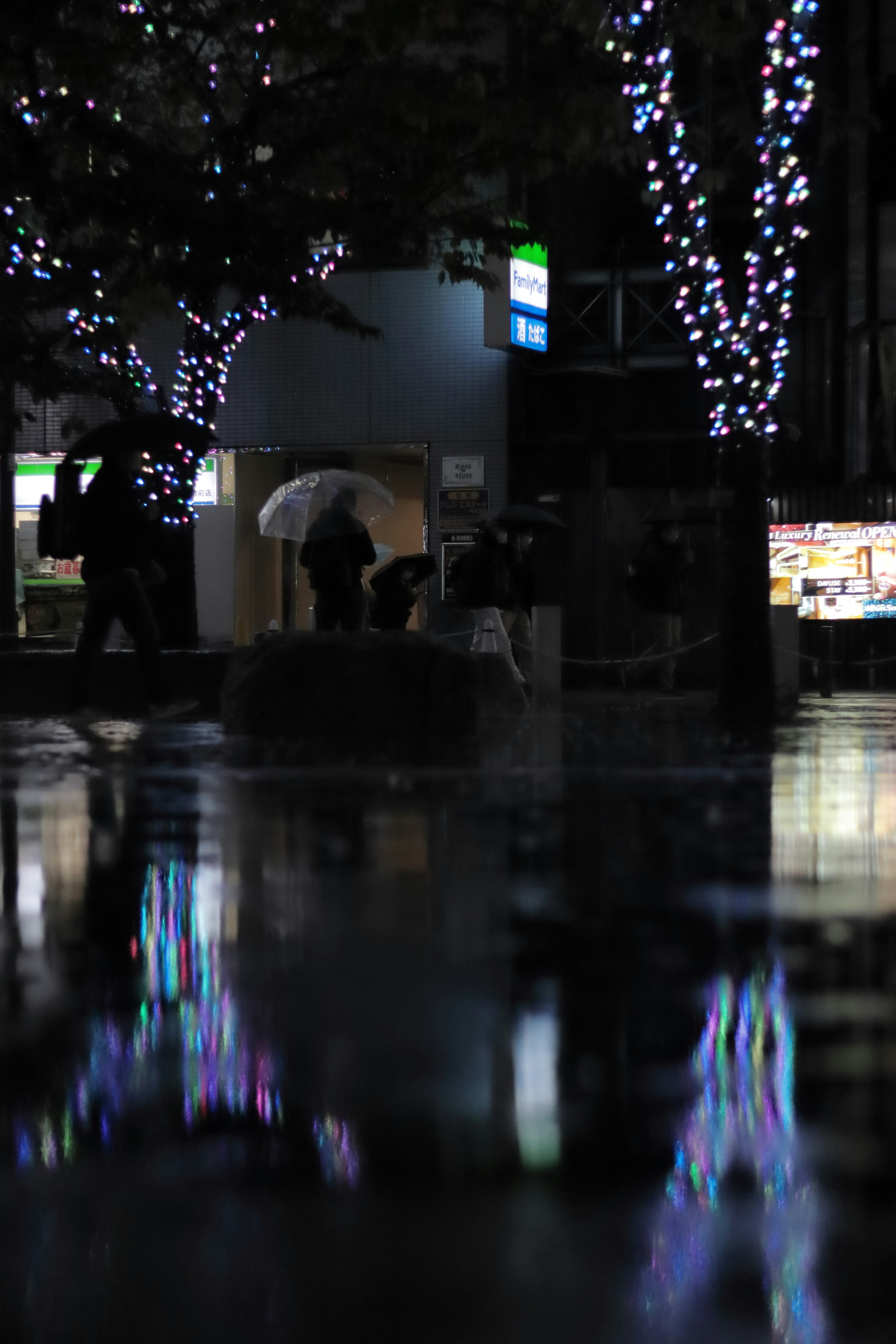 Pemandangan kota malam dengan refleksi di genangan air dan pohon yang diterangi