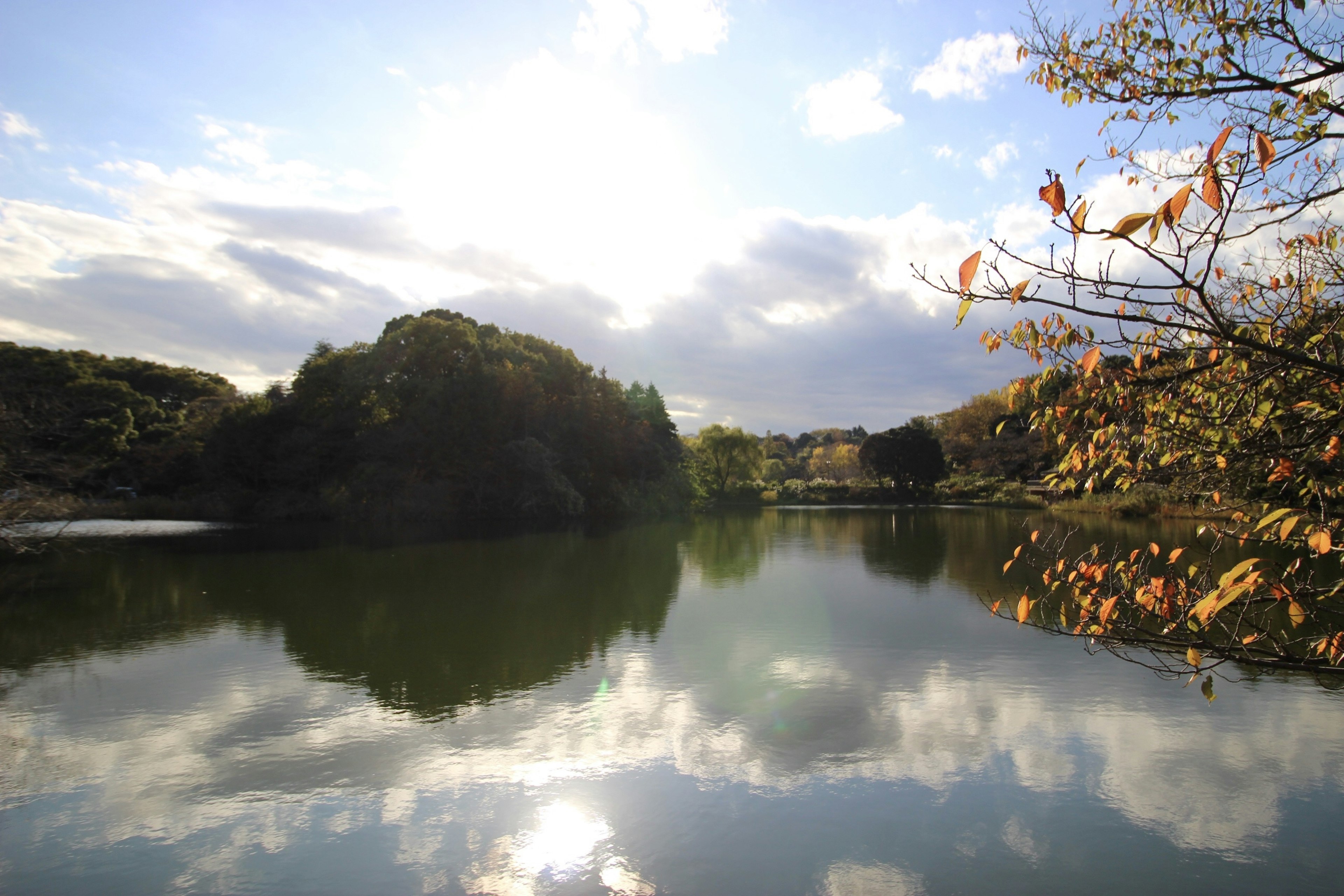 Calm lake reflecting surrounding trees and cloudy sky