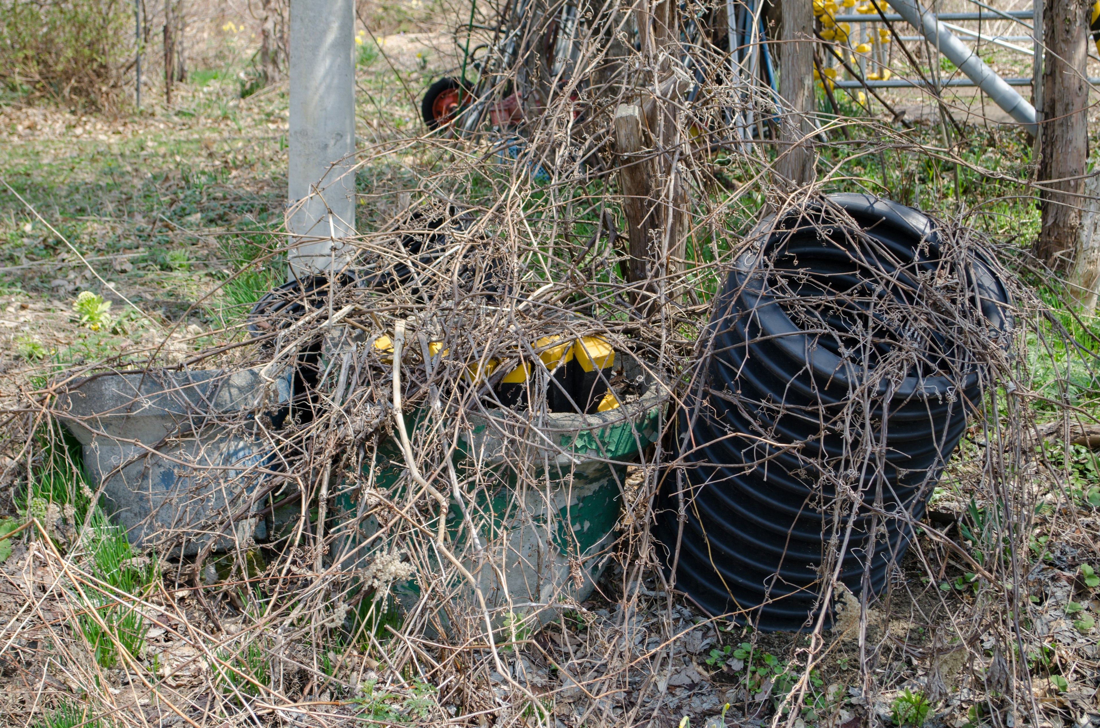 Green machinery and black tires covered in grass and vines