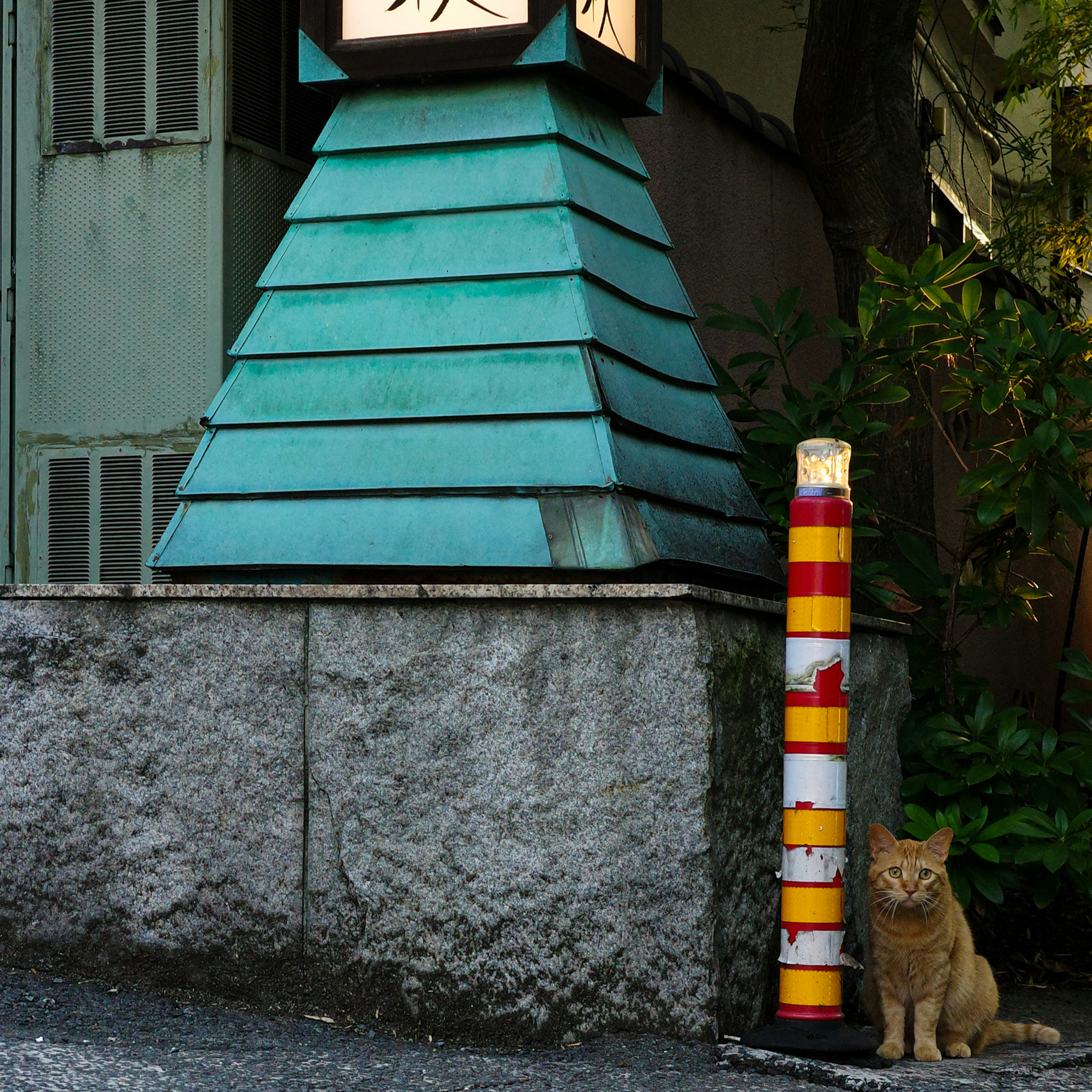 Orange cat sitting next to a colorful pole in front of a building with a blue roof