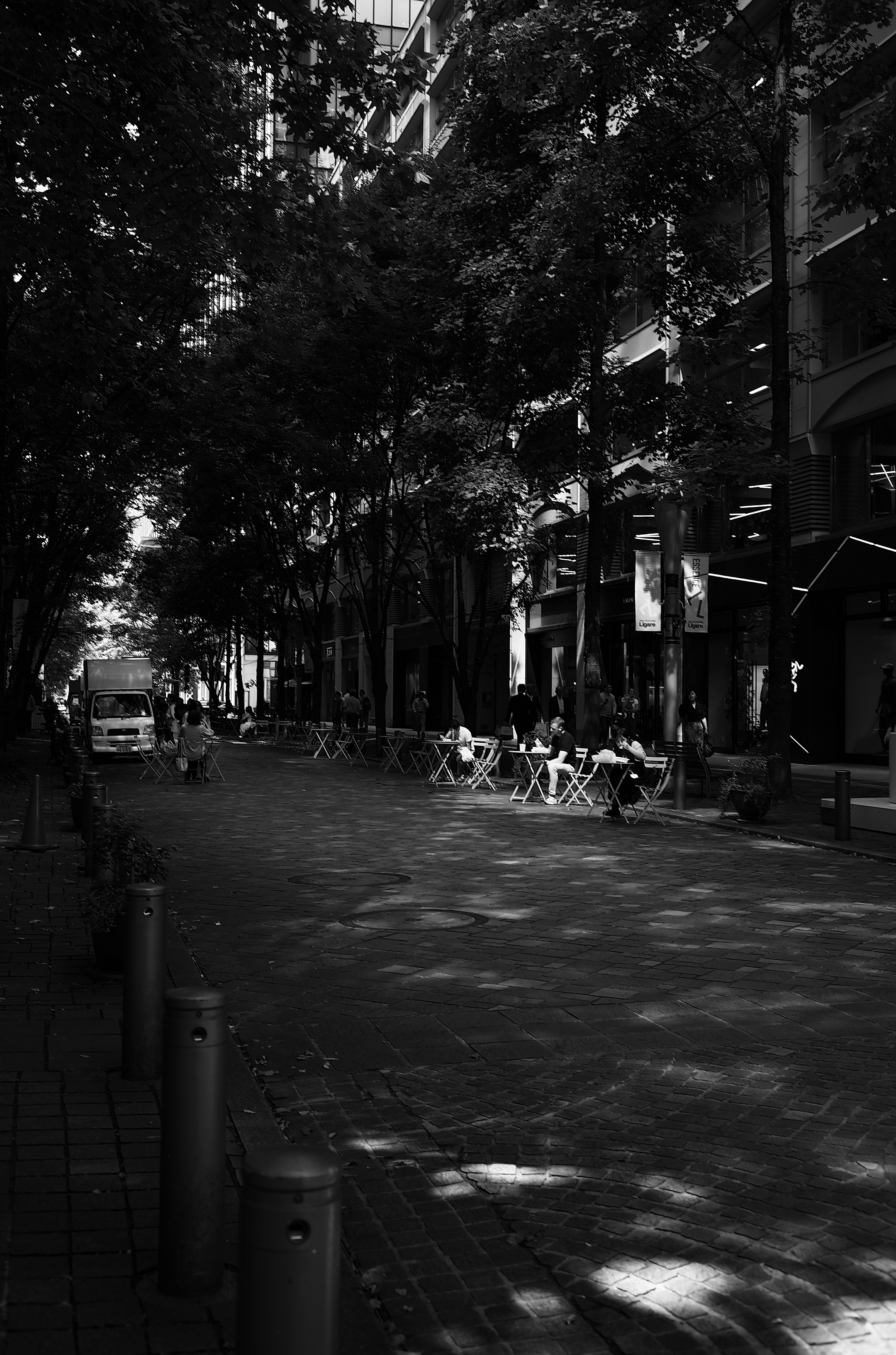 Baumgesäumte Straße mit Cafétischen und Schatten