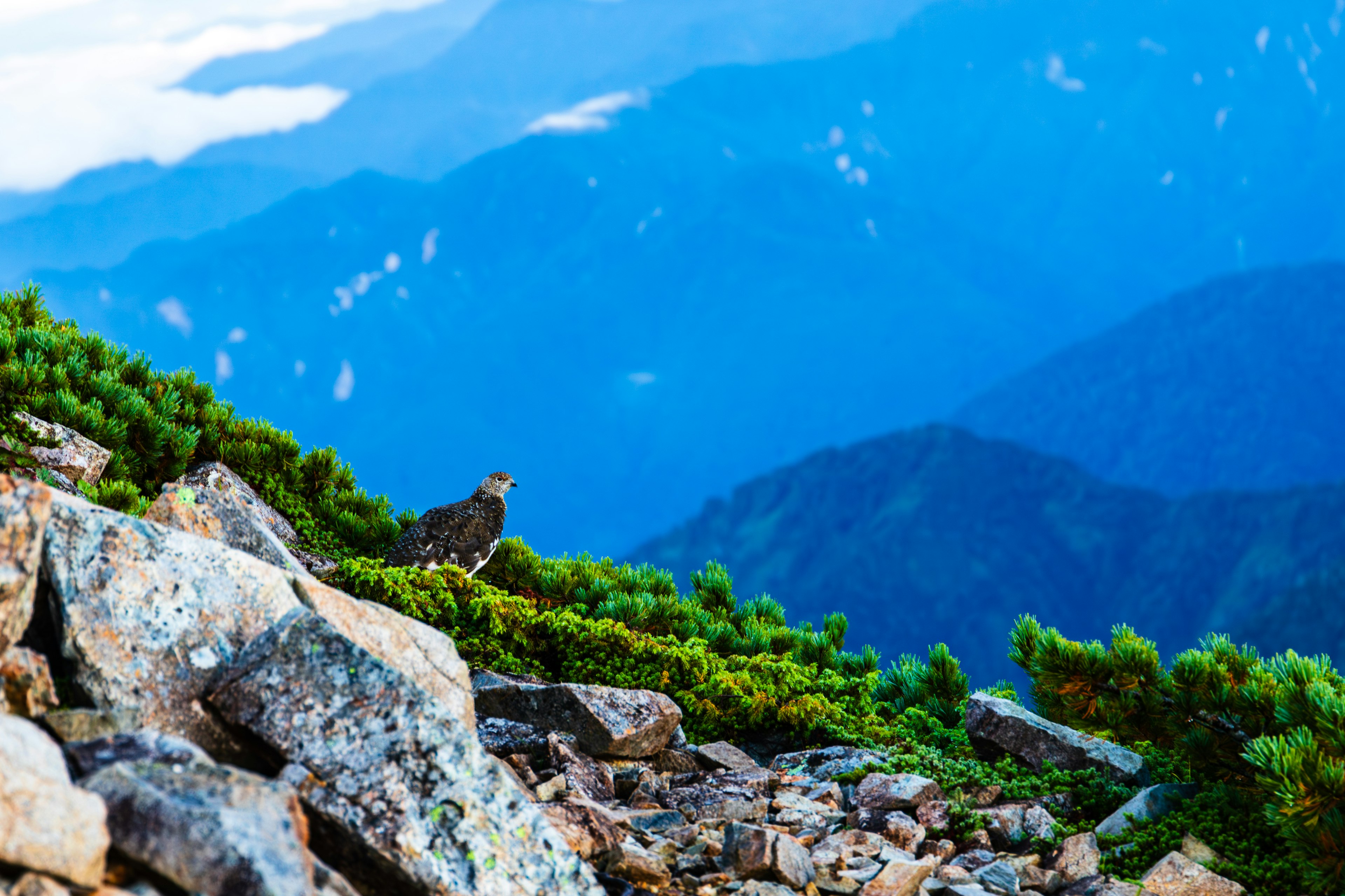 Scenic view of blue mountains with rocks and green vegetation