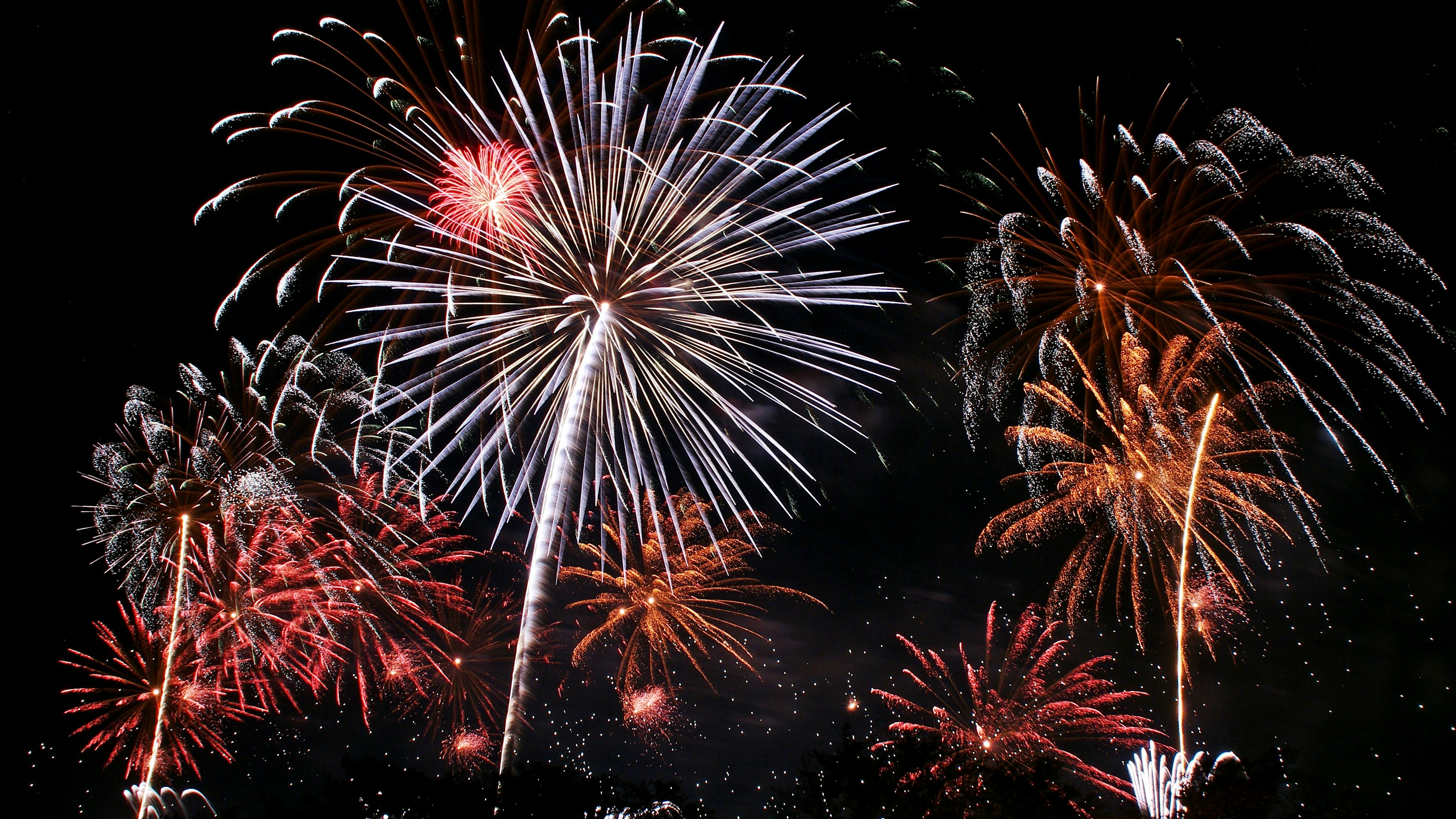 Fuegos artificiales coloridos estallando en el cielo nocturno