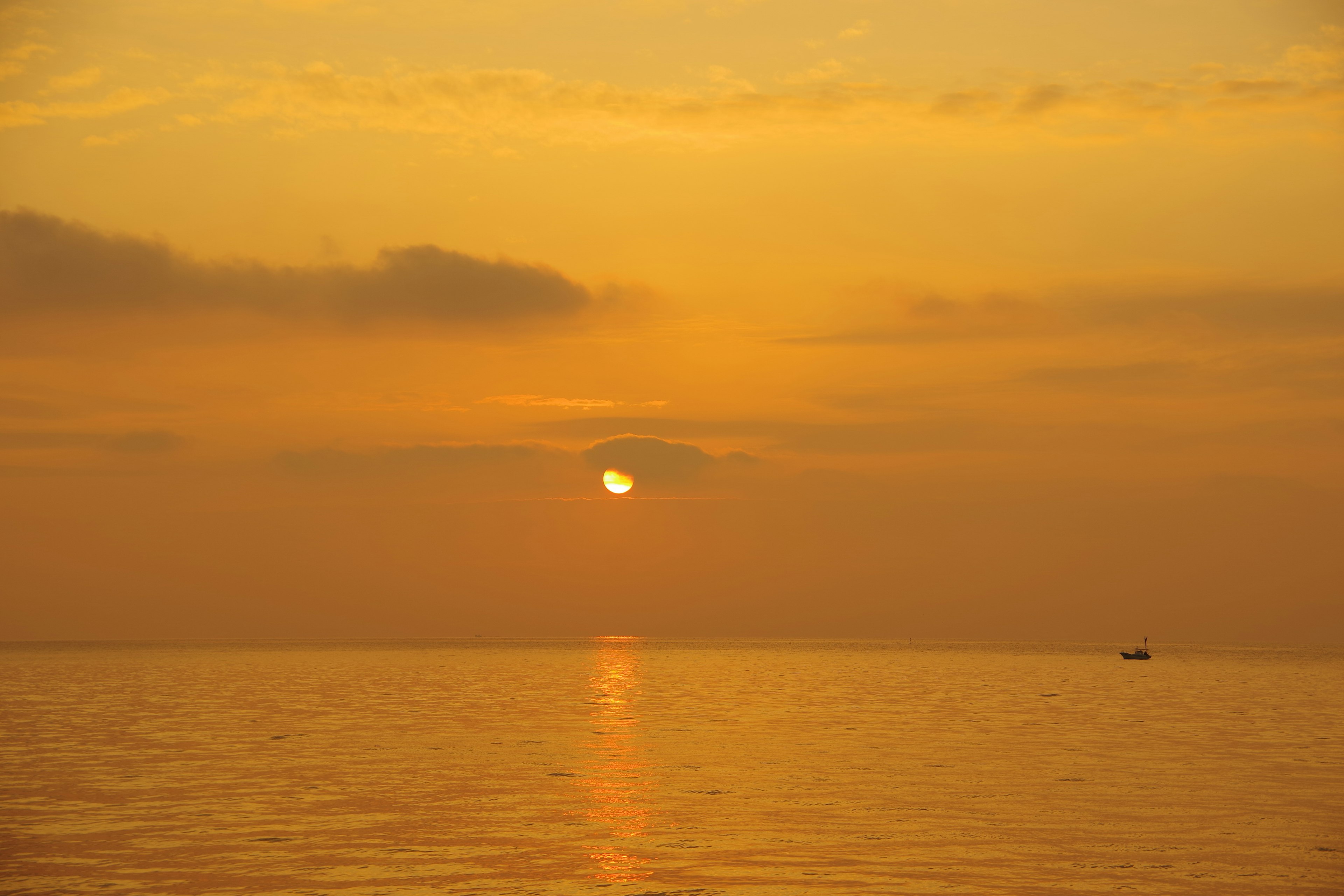 Beautiful landscape of the sun setting over the ocean