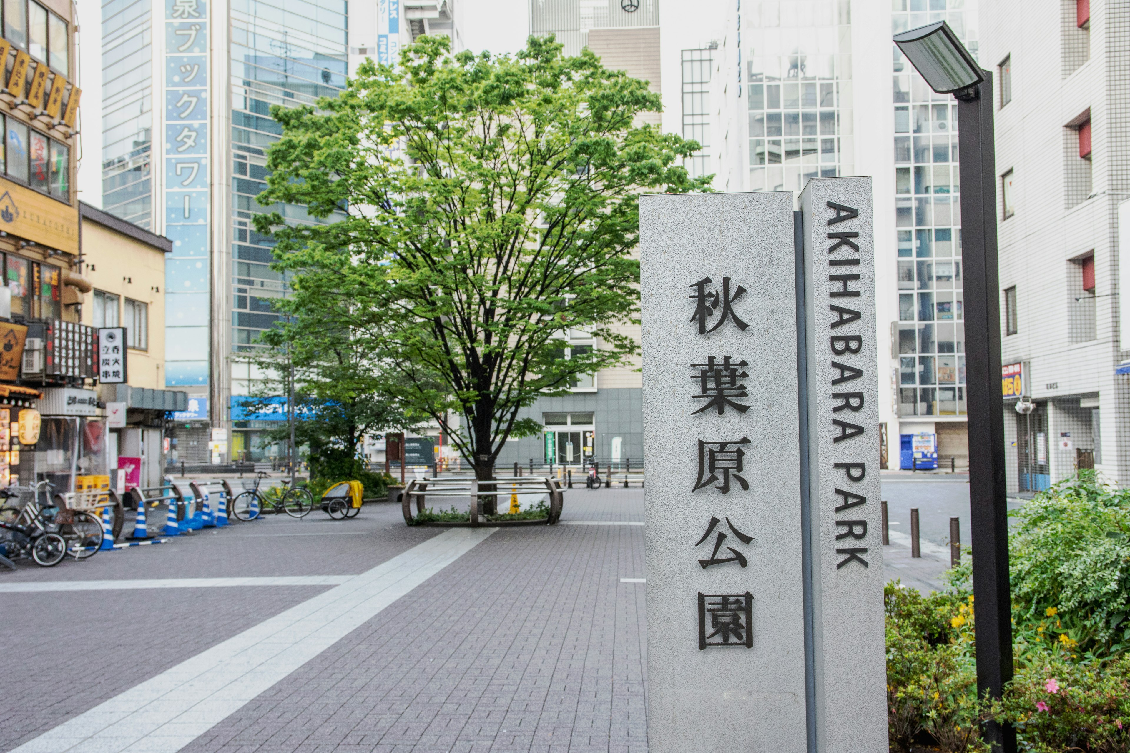 Insegna del parco Akihabara con un albero verdeggiante sullo sfondo