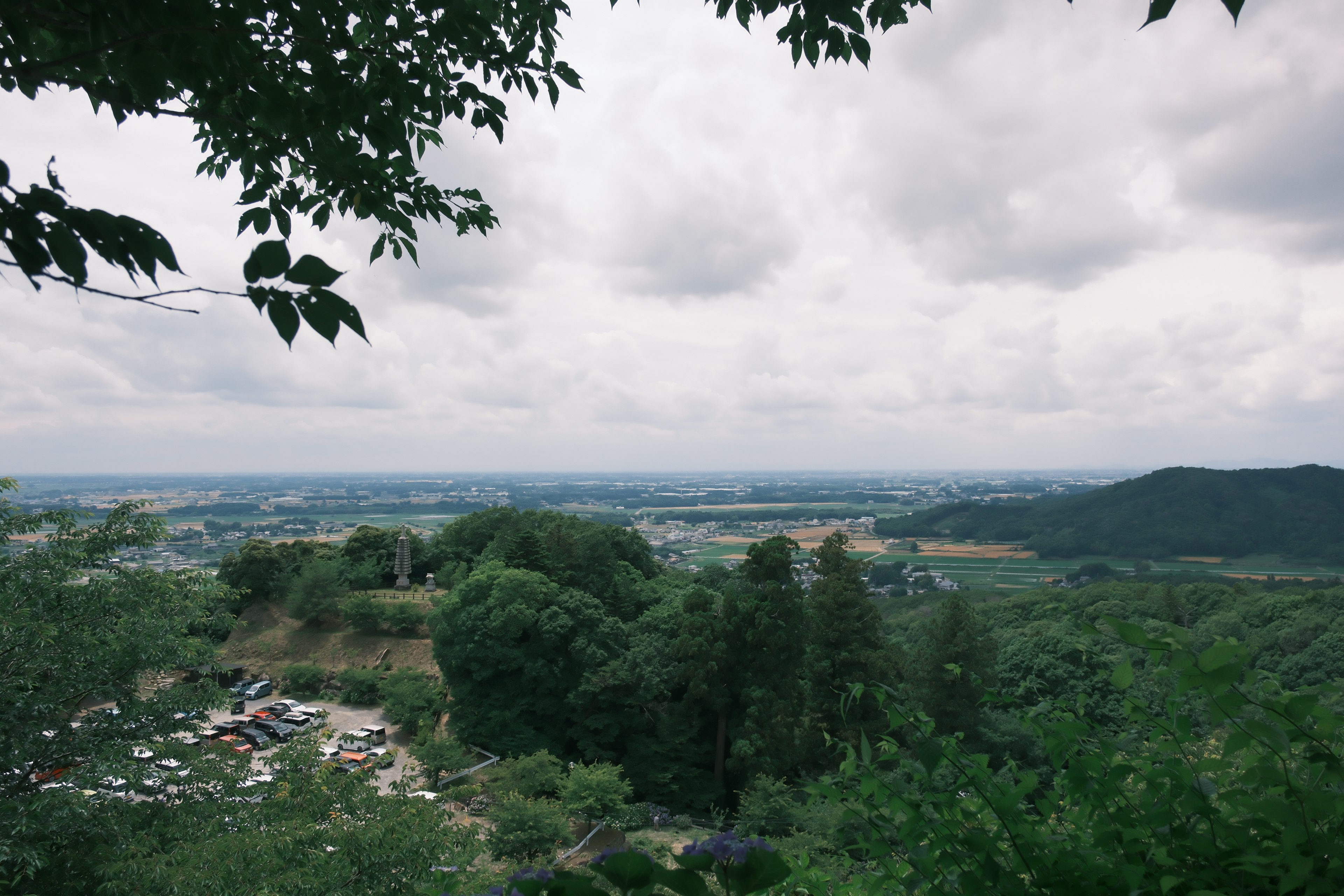 Panoramablick auf üppiges Grün unter einem bewölkten Himmel