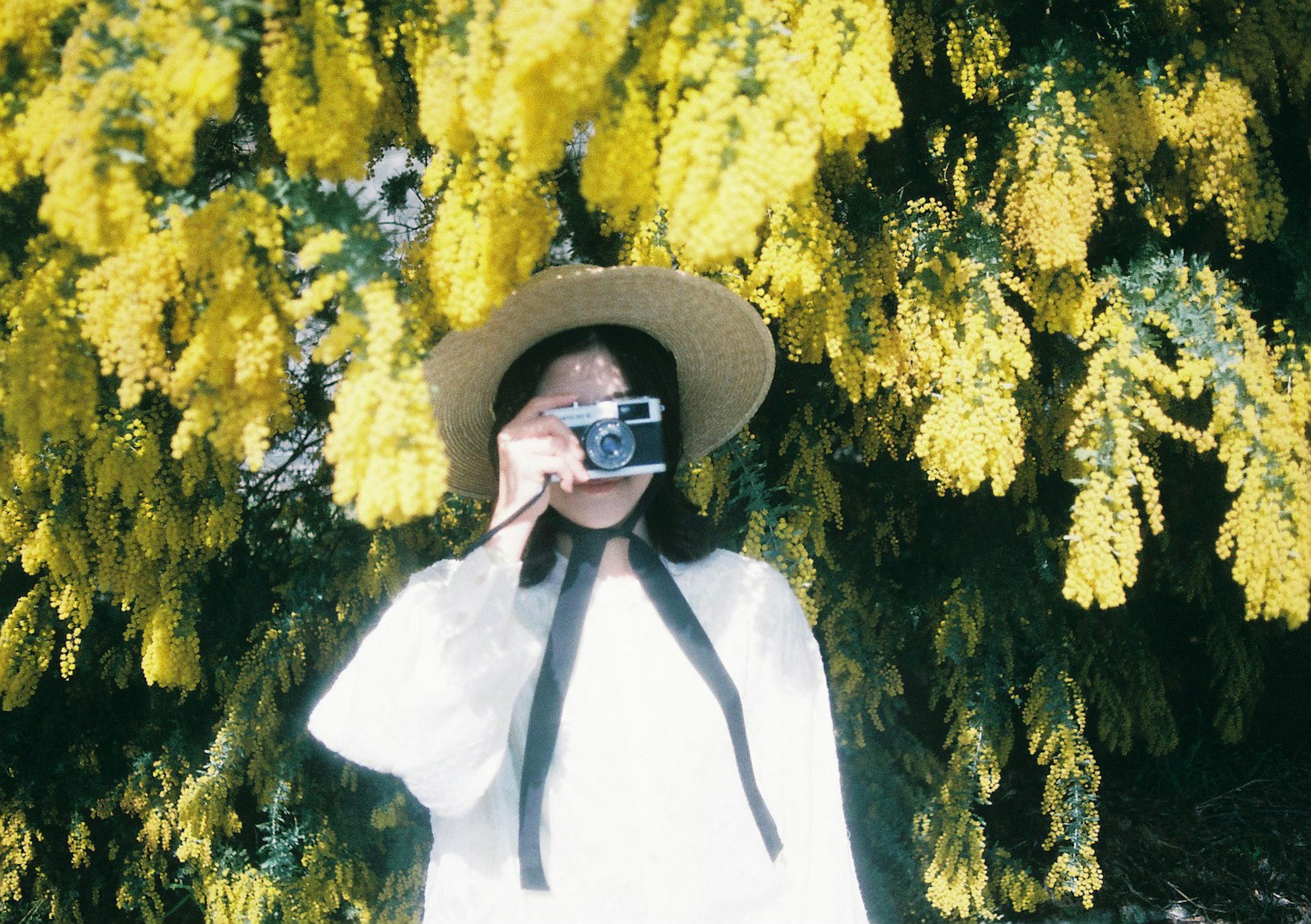 Mujer sosteniendo una cámara frente a un árbol con flores amarillas