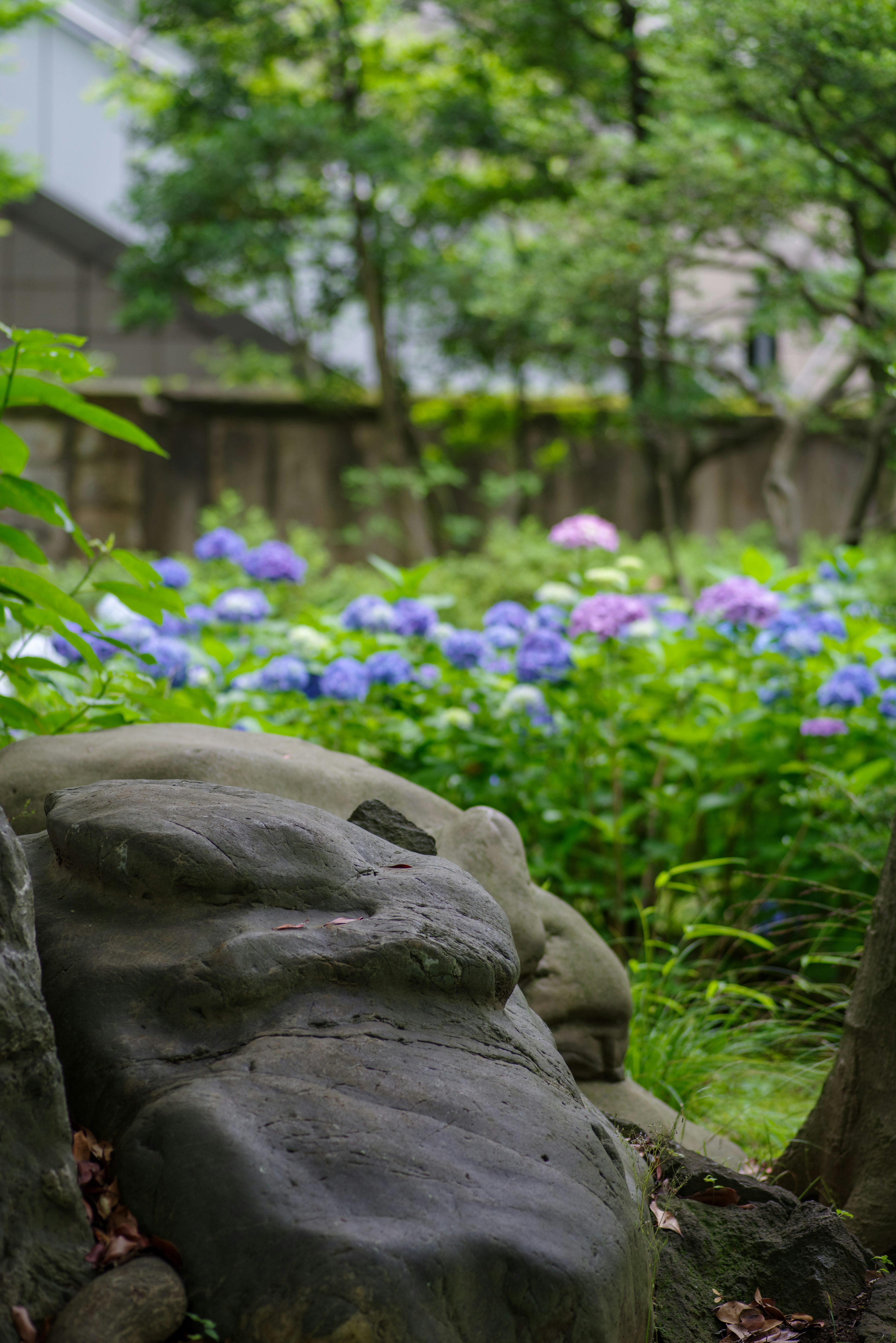 Stein in einem grünen Garten mit lila und blauen Hortensien