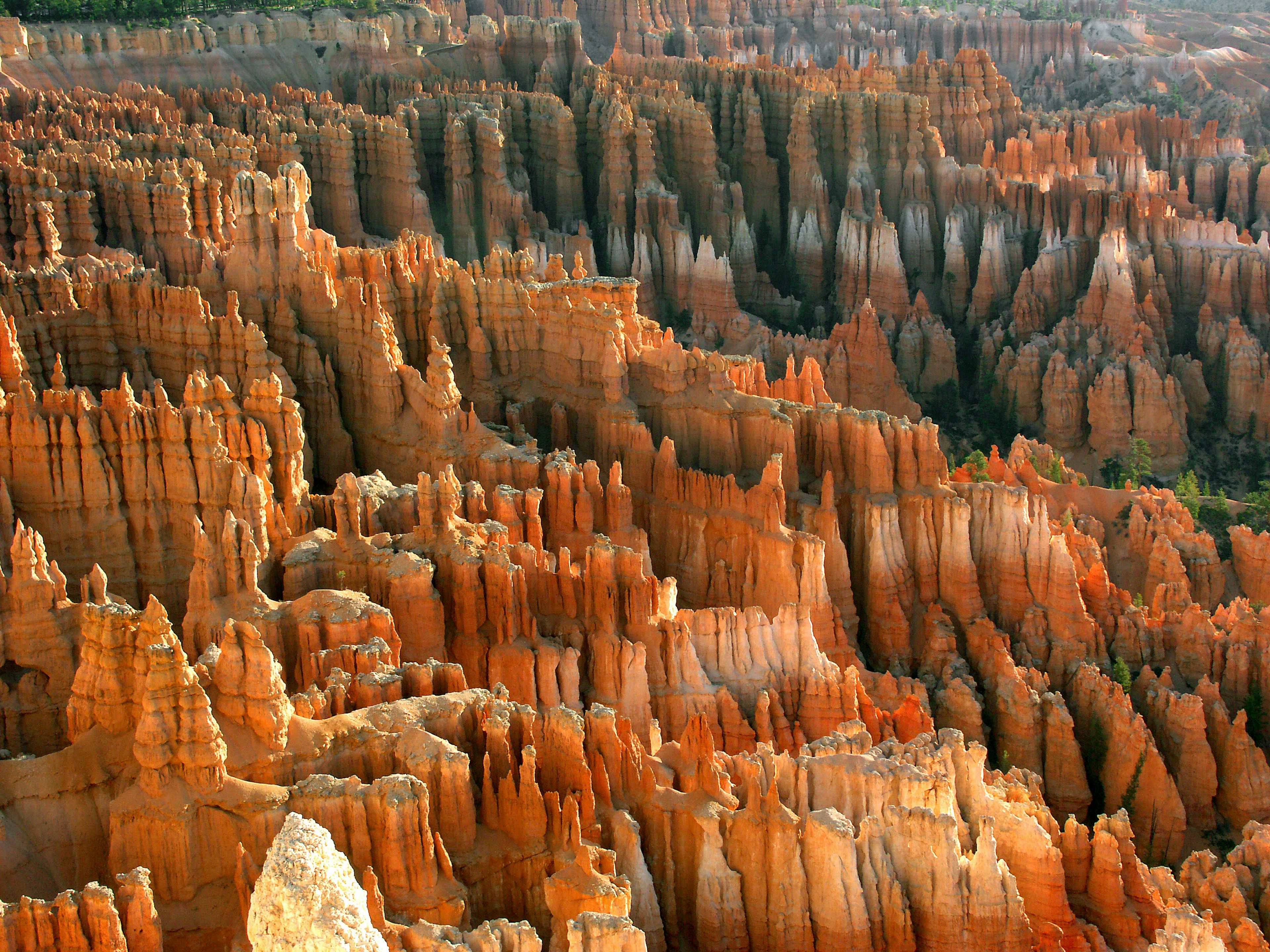 Paysage des formations de hoodoos uniques dans le Bryce Canyon