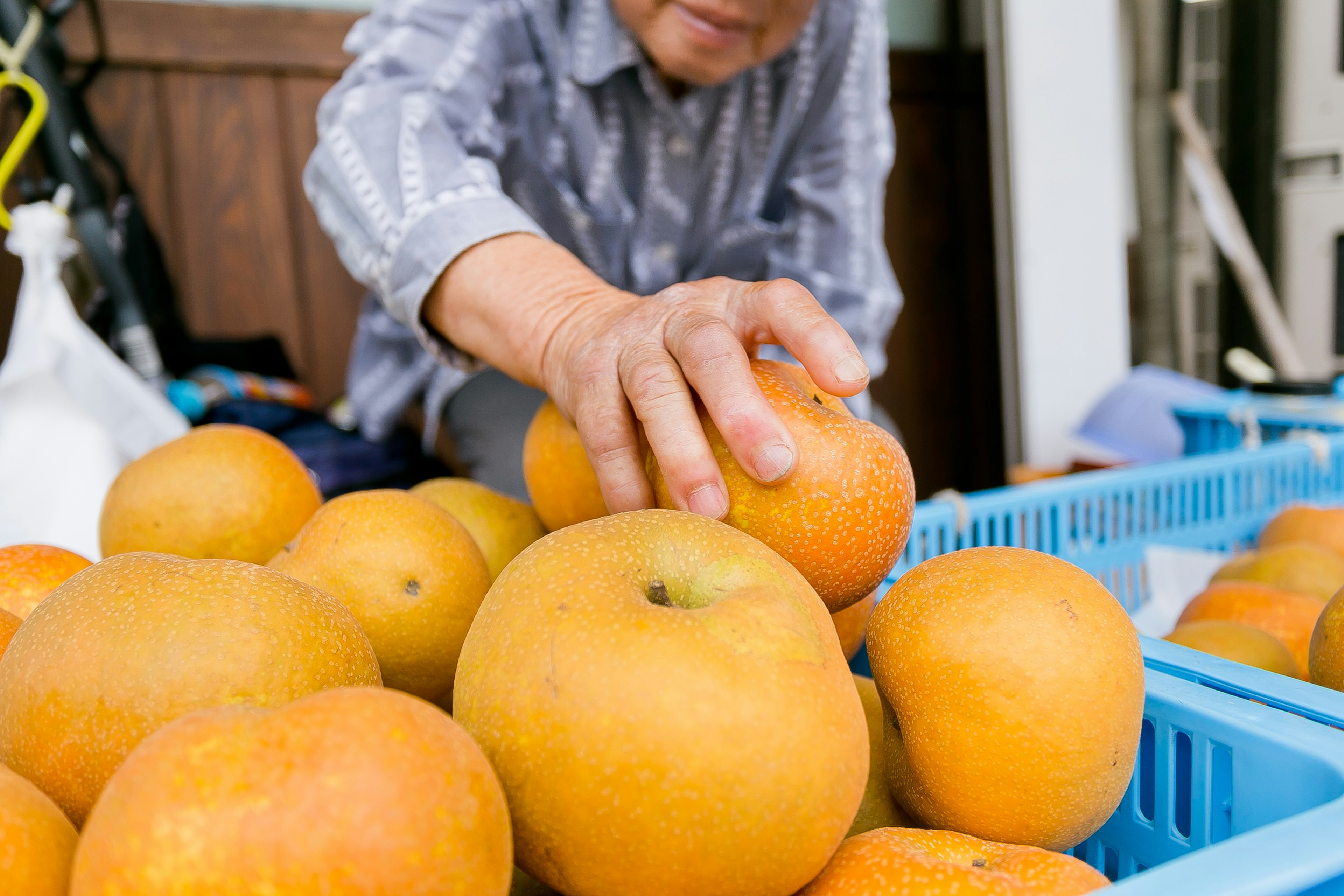 Eine Hand einer älteren Person, die nach Orangen in einem Korb greift