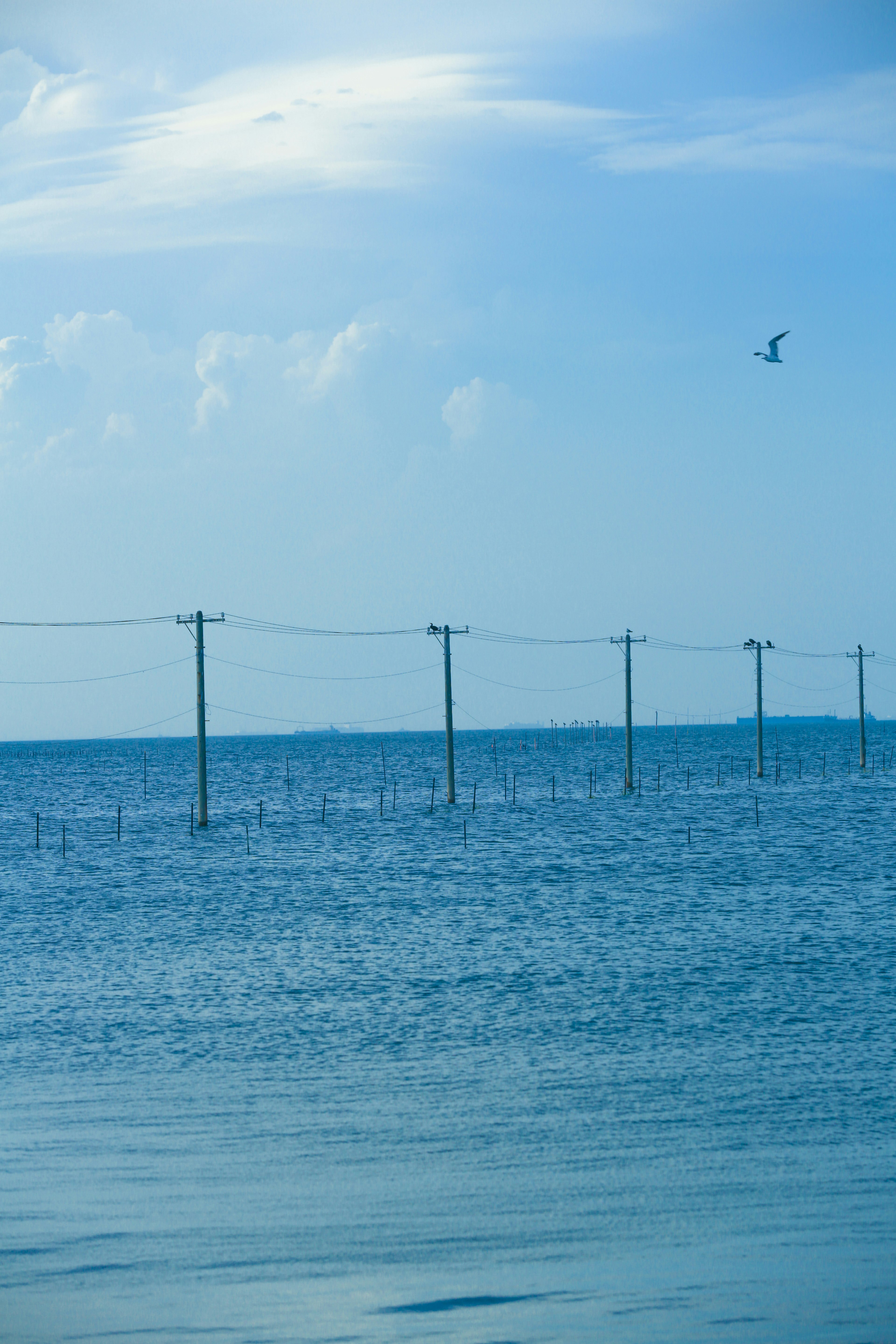 Eine Landschaft mit blauem Ozean und Himmel mit Strommasten im Wasser