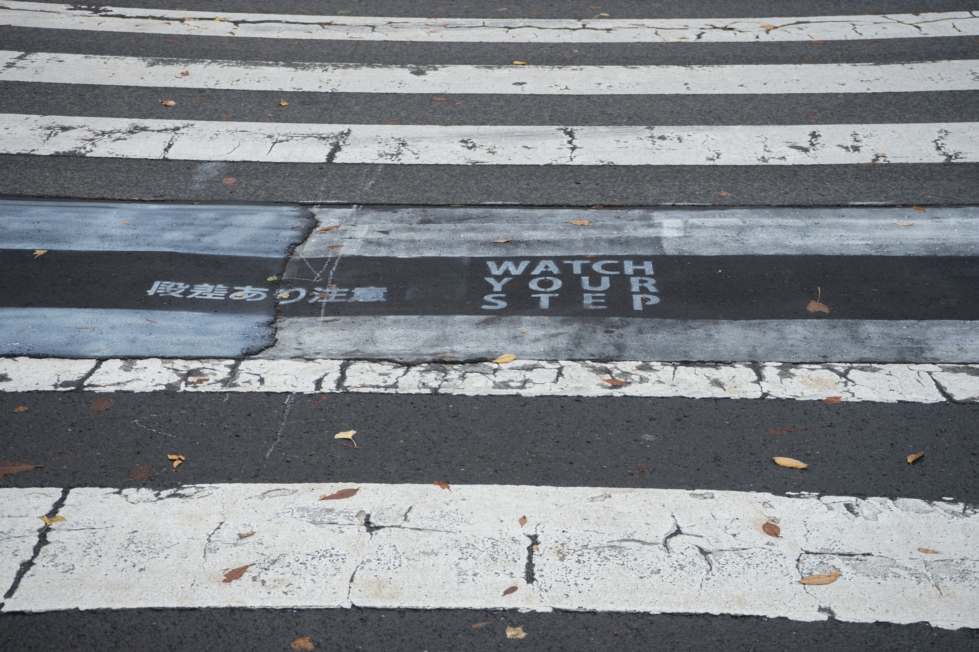 Paso de peatones con el mensaje 'WATCH YOUR STEP' y texto de advertencia en japonés