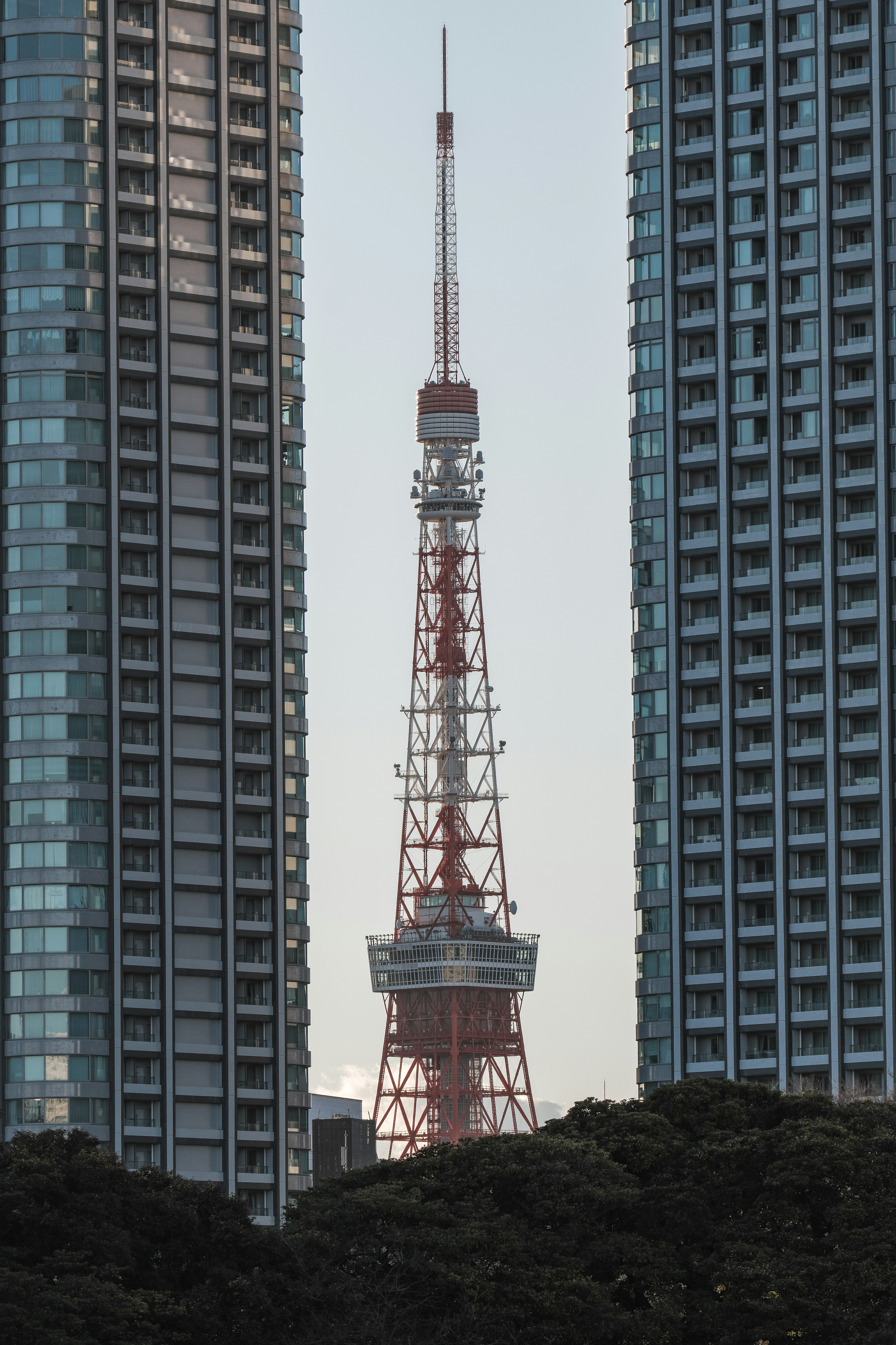 Tháp Tokyo nhìn thấy giữa các tòa nhà chọc trời