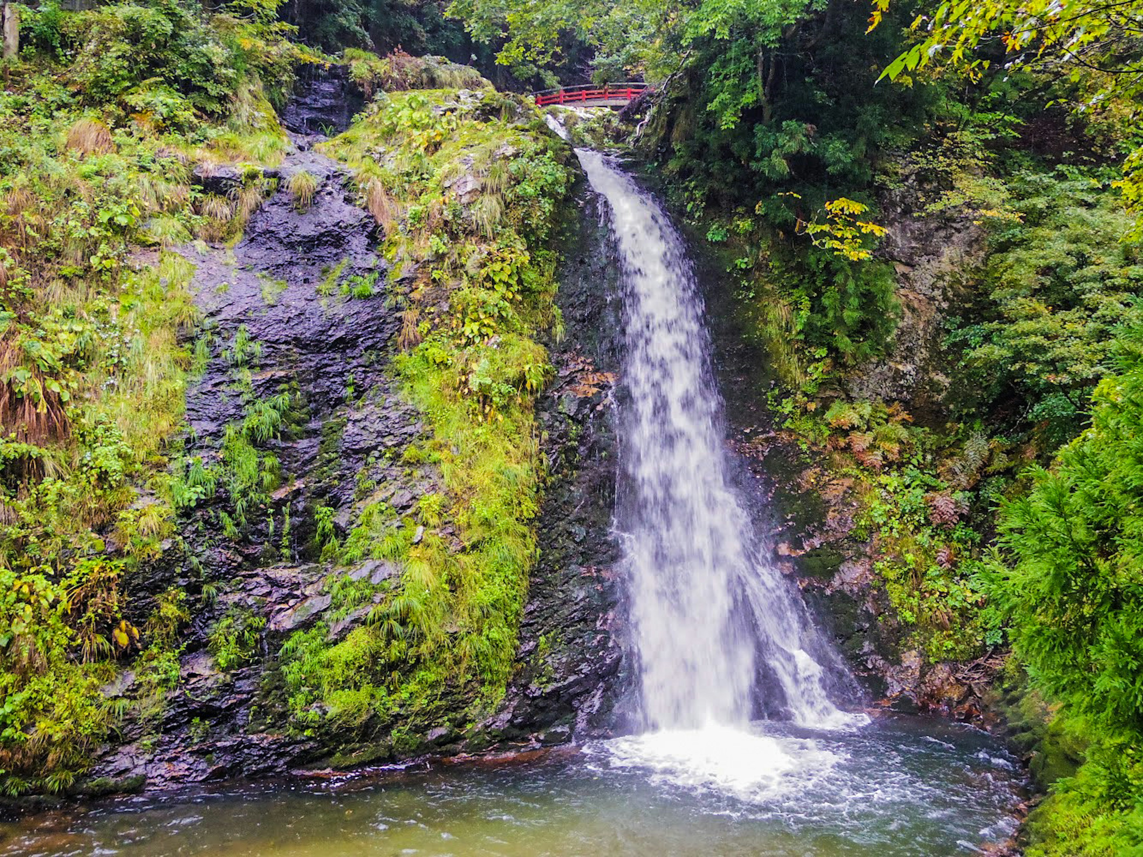 Air terjun yang indah dikelilingi oleh tanaman hijau air mengalir di atas batu