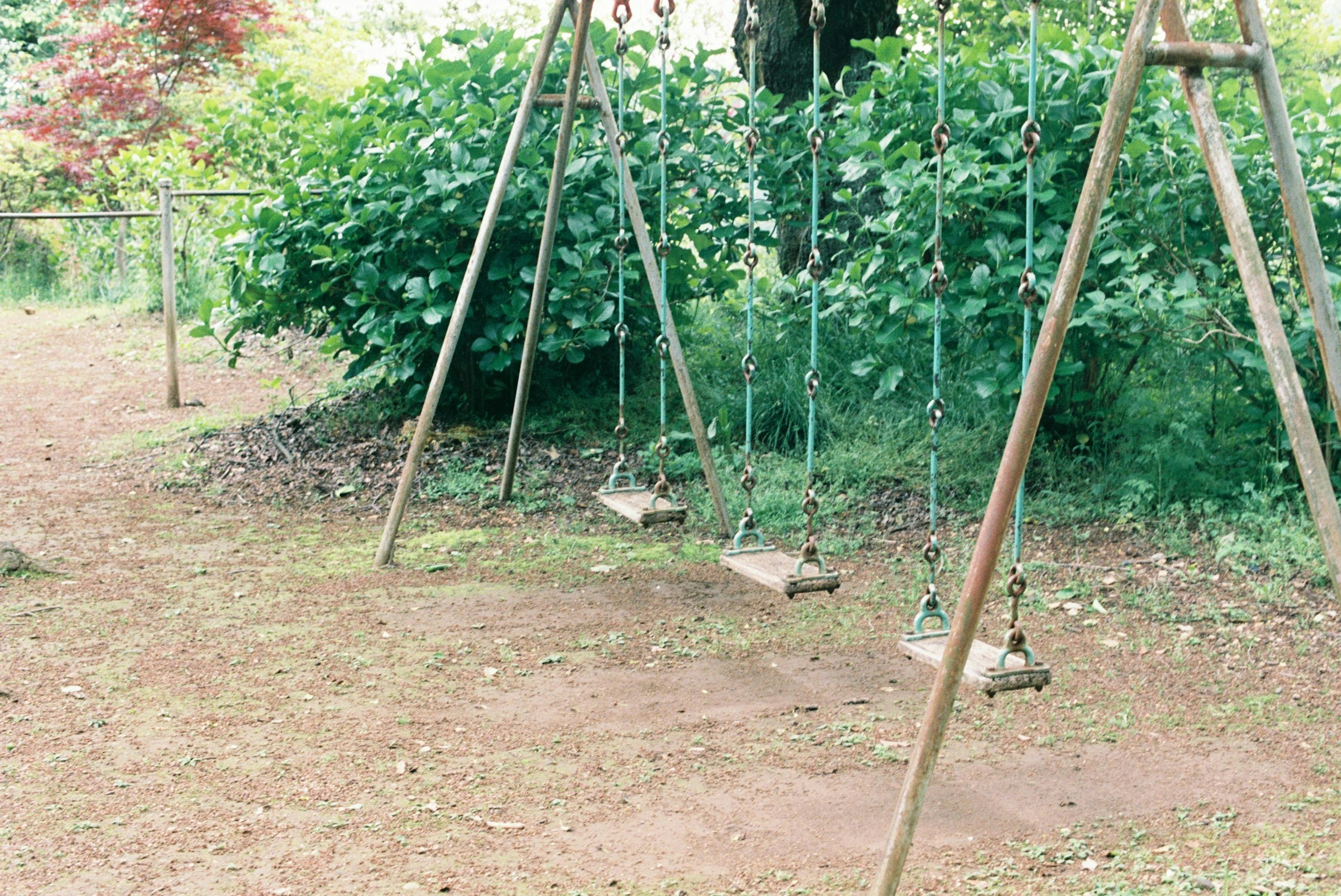 Une scène de terrain de jeu sereine avec des balançoires vides entourées de verdure luxuriante