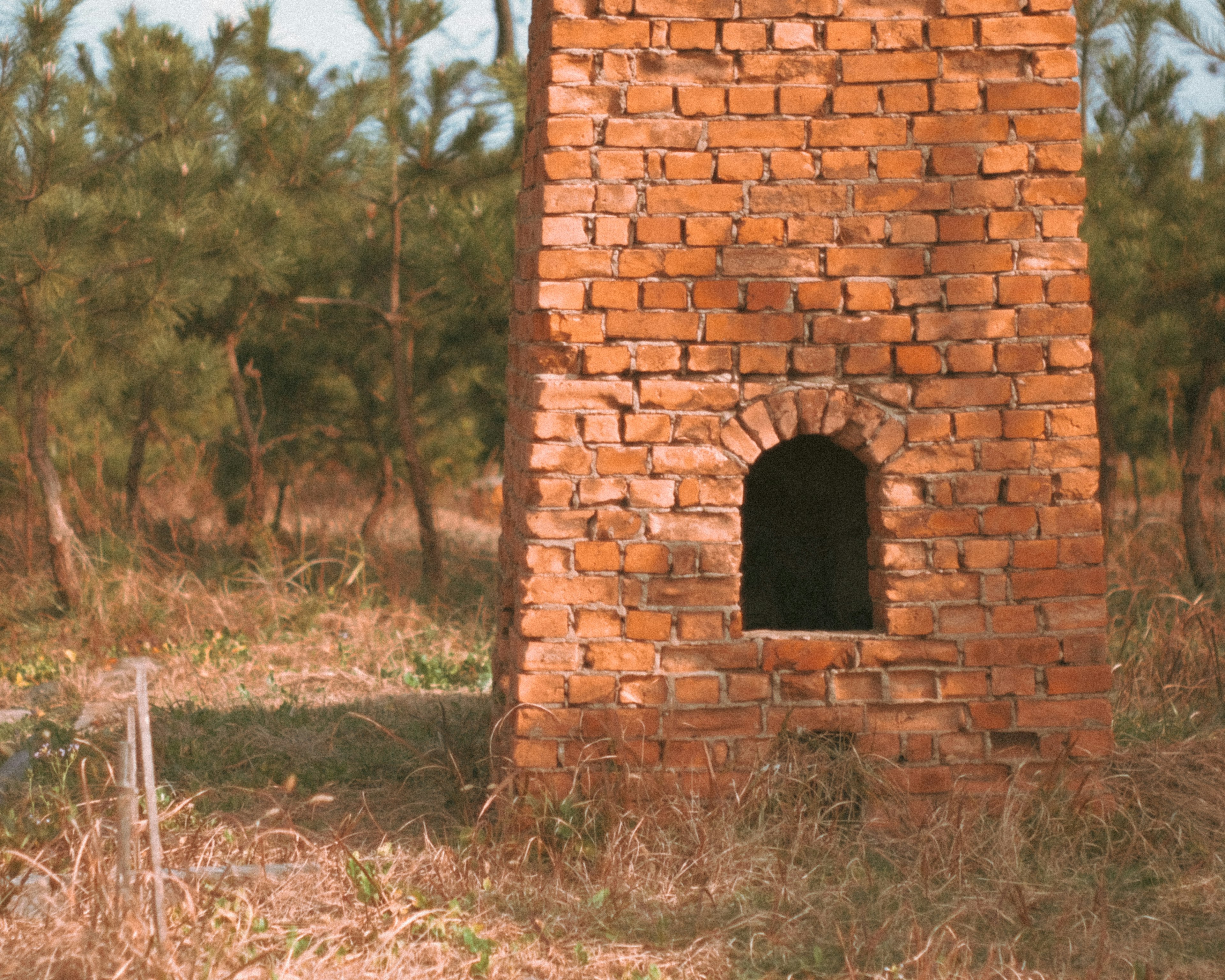 A red brick tower stands in a grassy field surrounded by green trees