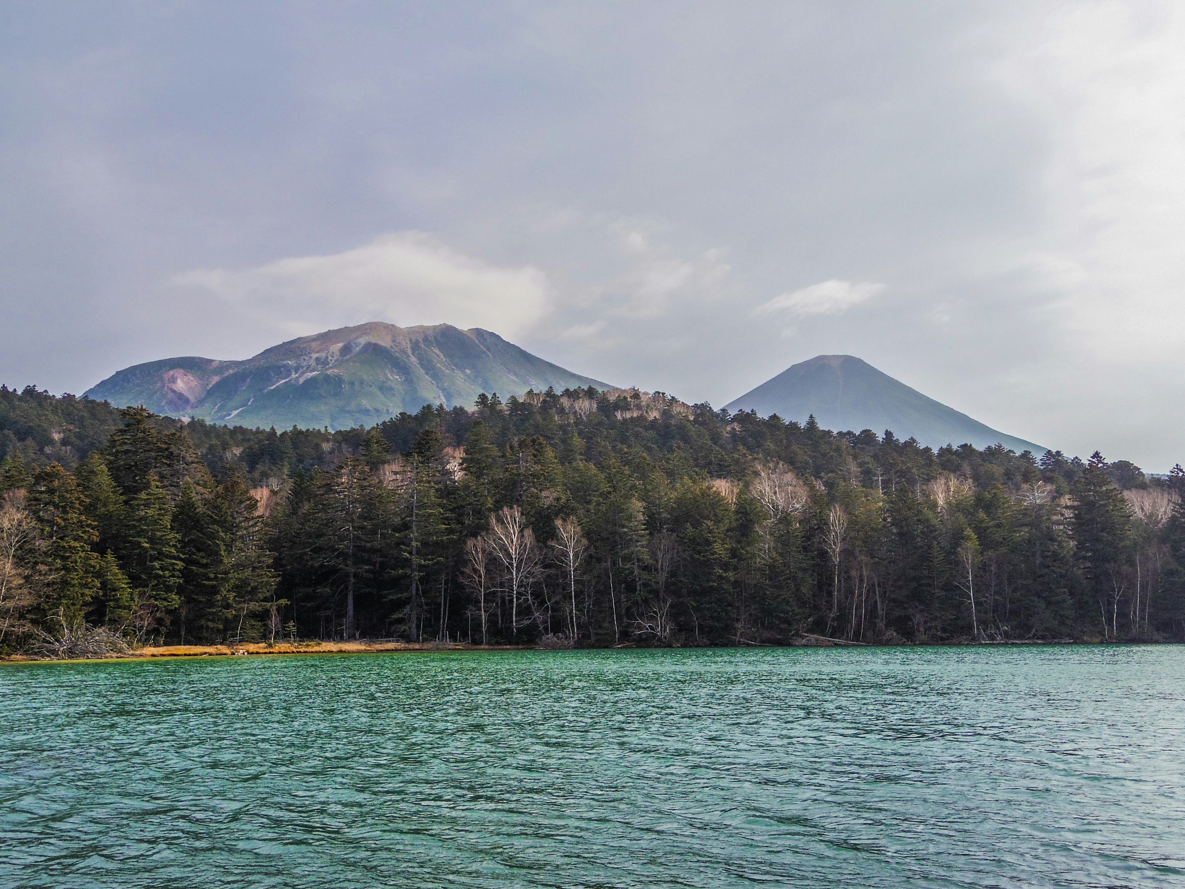 Vista escénica de montañas detrás de un lago tranquilo rodeado de bosques exuberantes