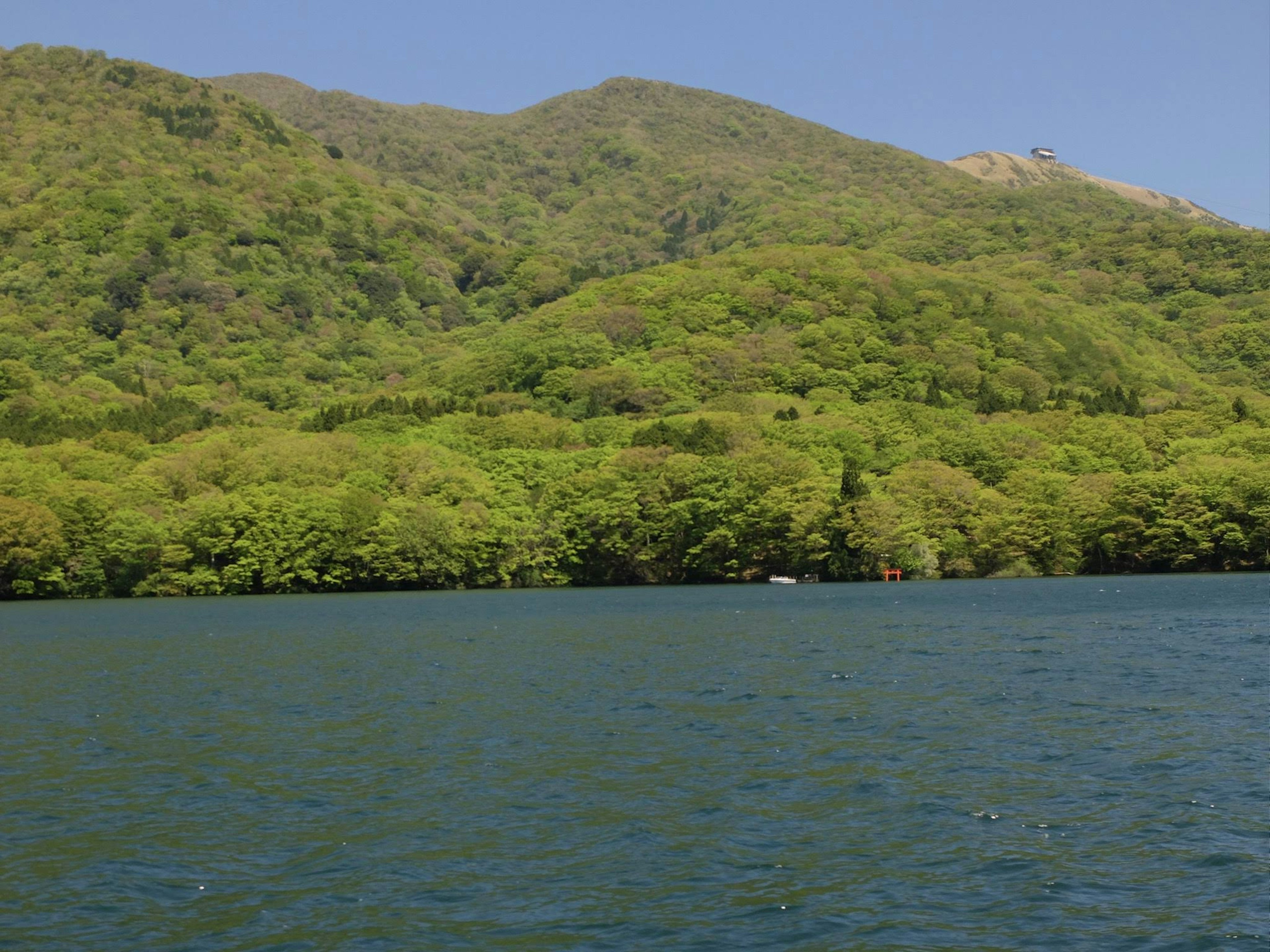 緑豊かな山々と穏やかな水面が広がる風景