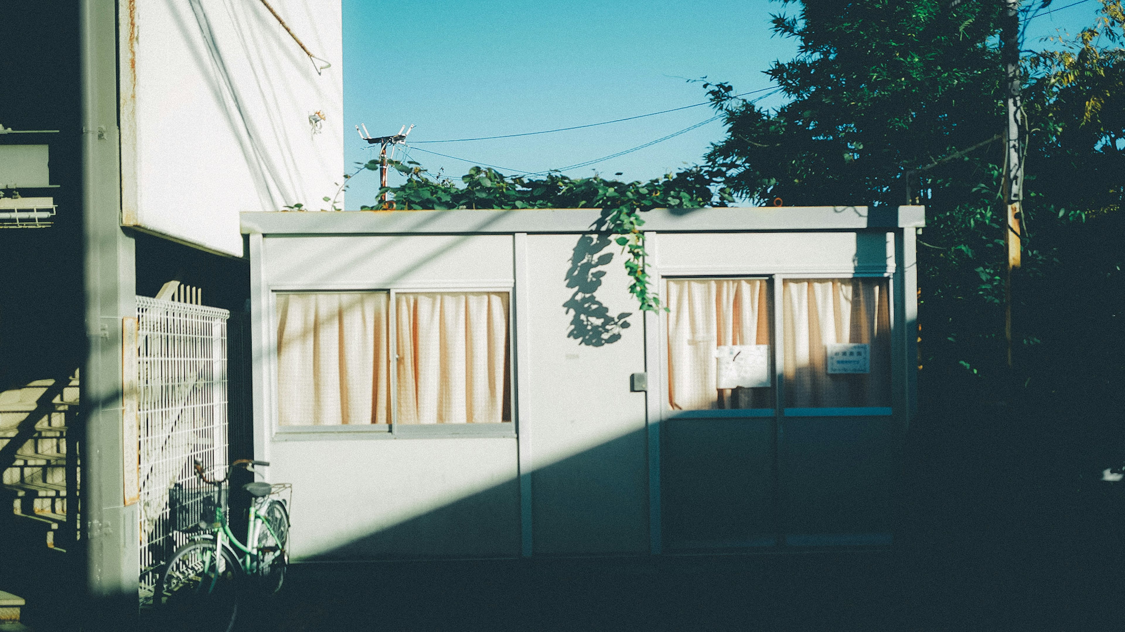 Pequeña casa brillante bajo un cielo azul con cortinas en las ventanas adornadas con plantas verdes