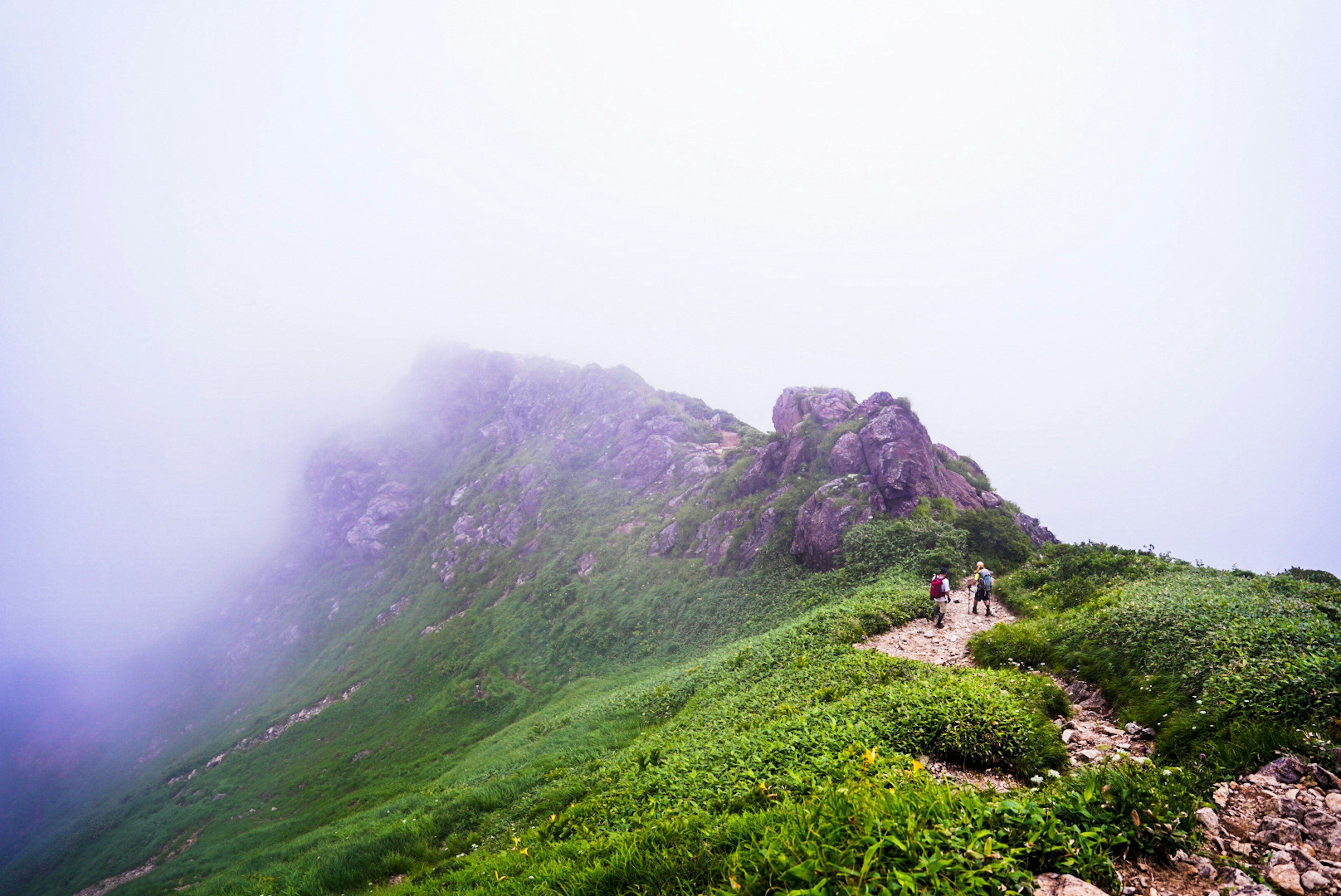 霧に包まれた山道を歩く人々の風景 緑の草地と岩の山々が見える