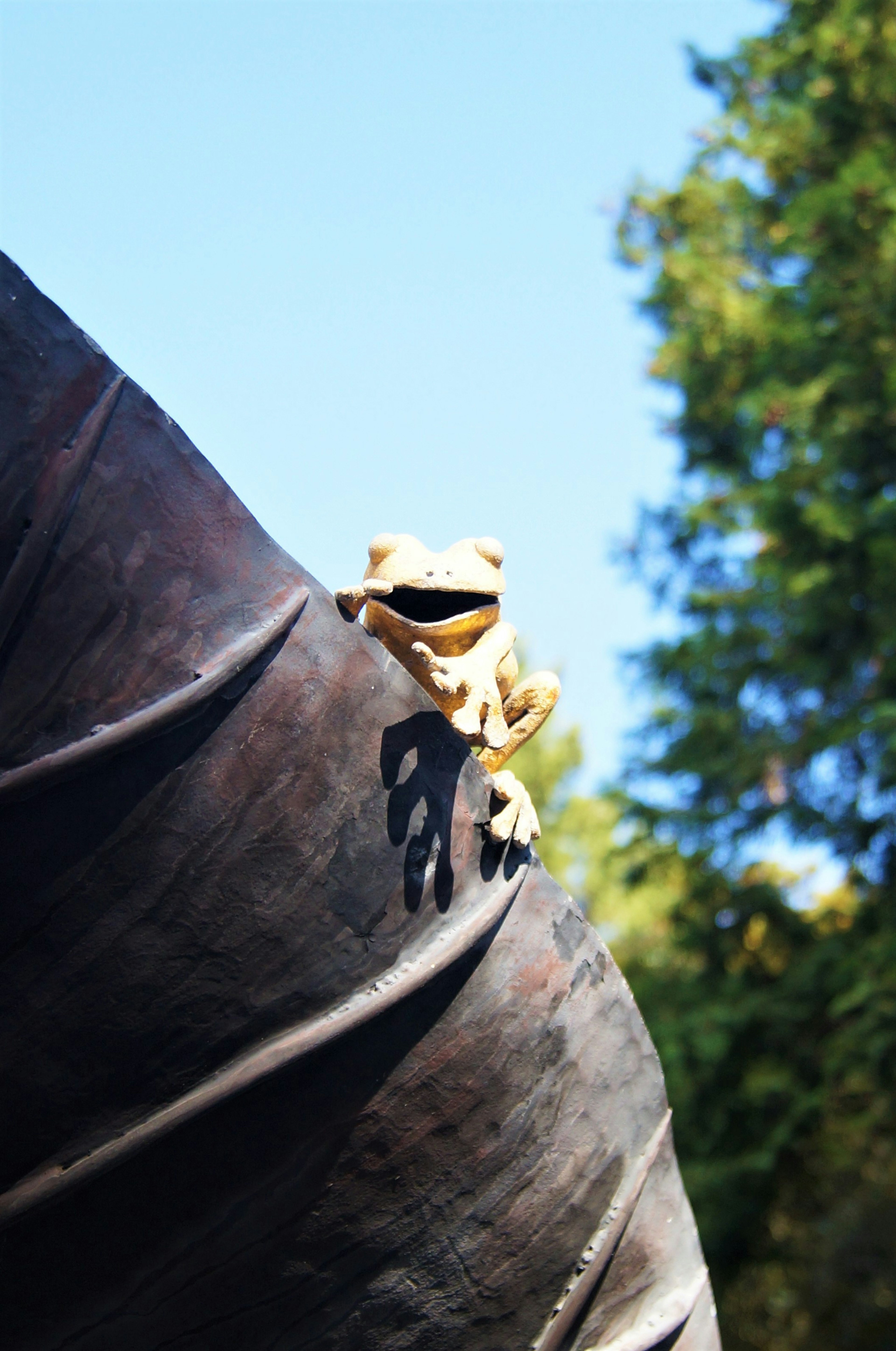 A green frog clinging to a black tree trunk