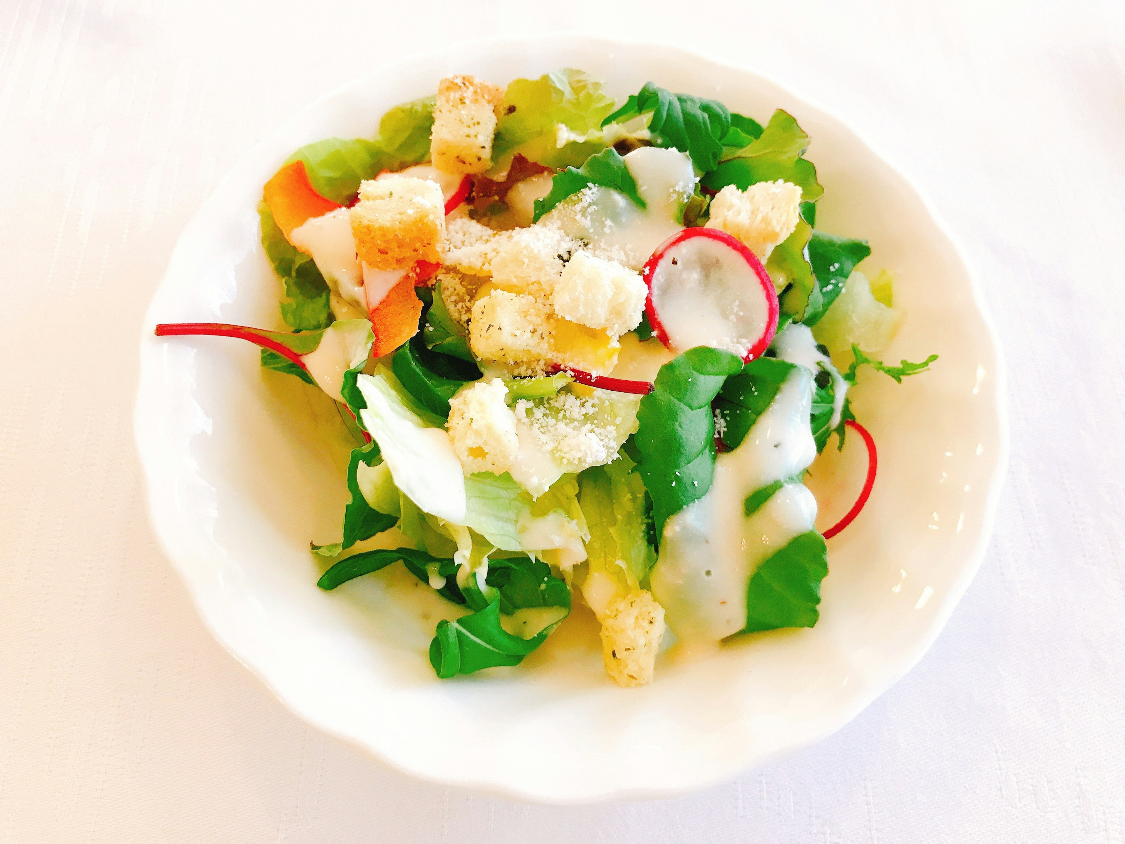 Salad tươi với xà lách, củ cải, bánh mì nướng và nước sốt kem