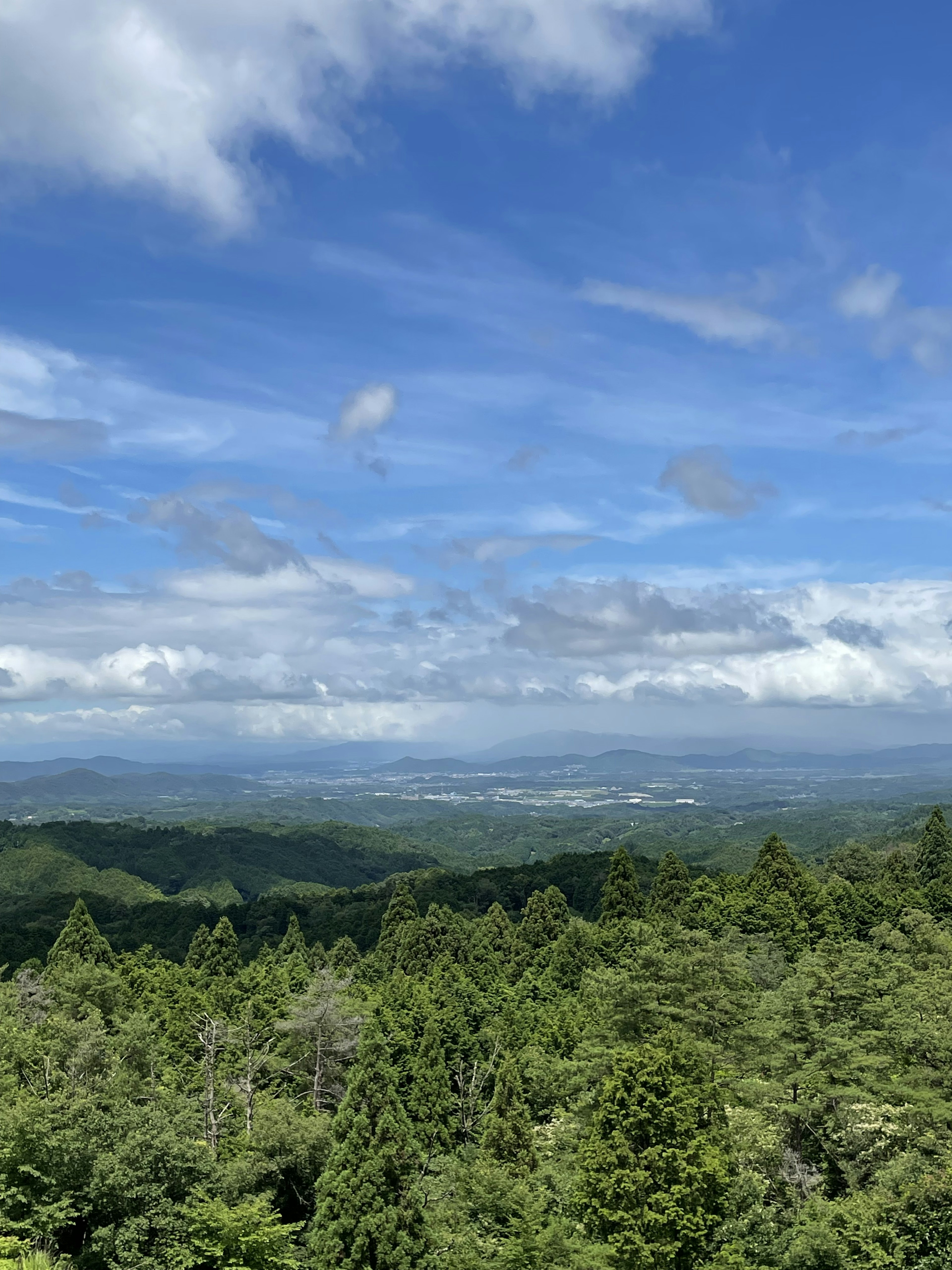 郁郁蔥蔥的綠色山脈和廣闊的藍天