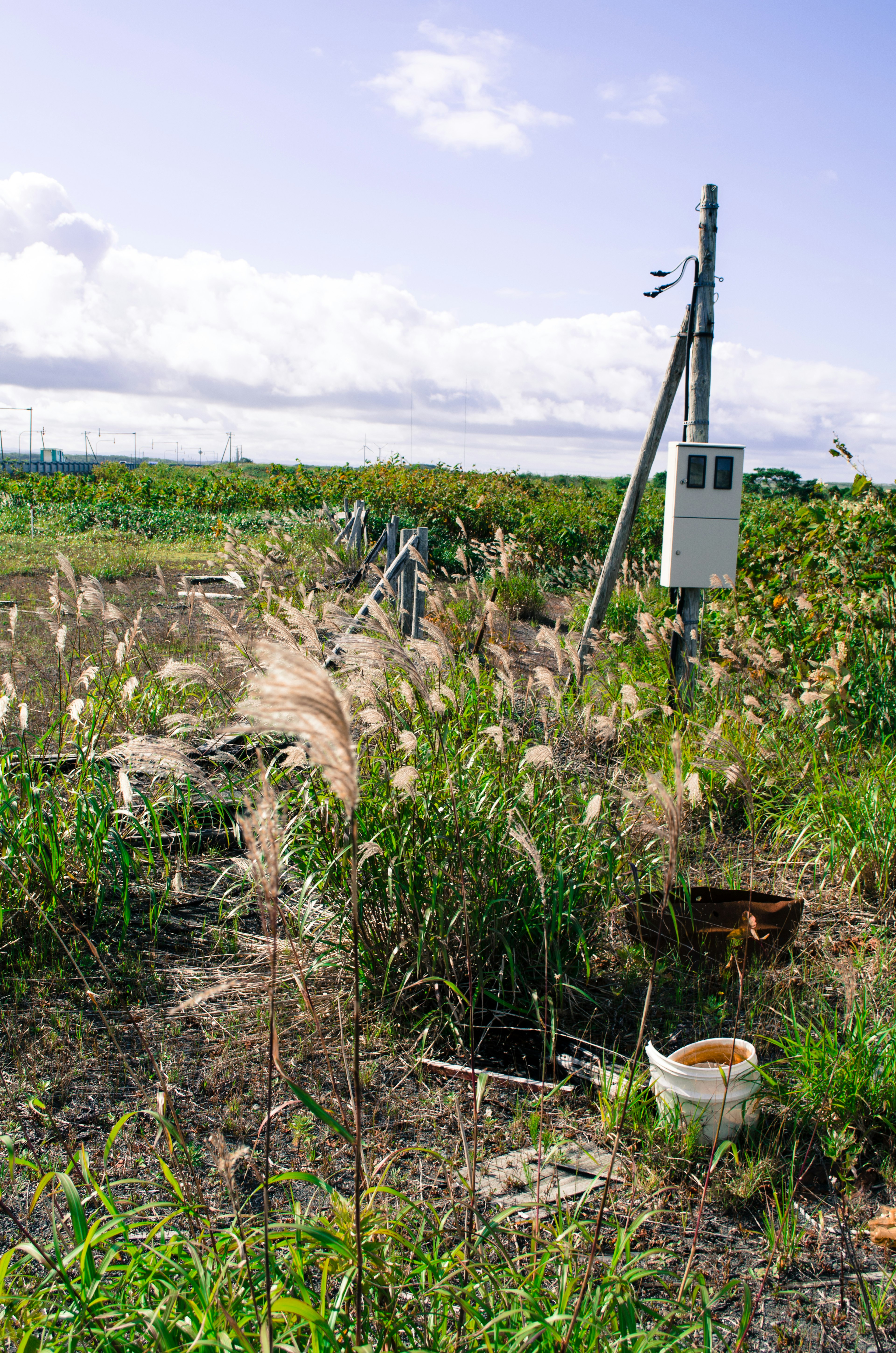 A grassy field with a white device and a utility pole