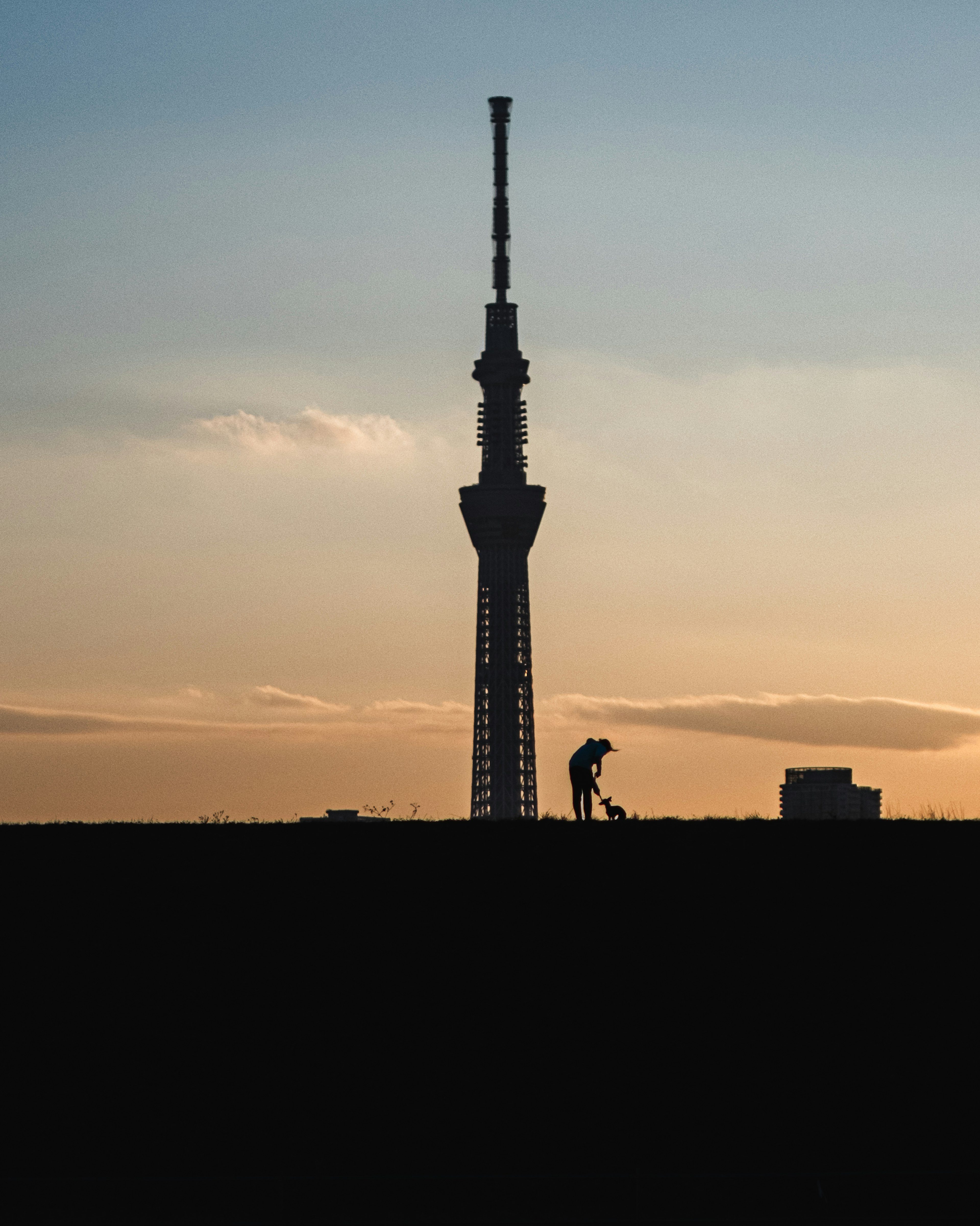 東京スカイツリーのシルエットと夕焼けの風景