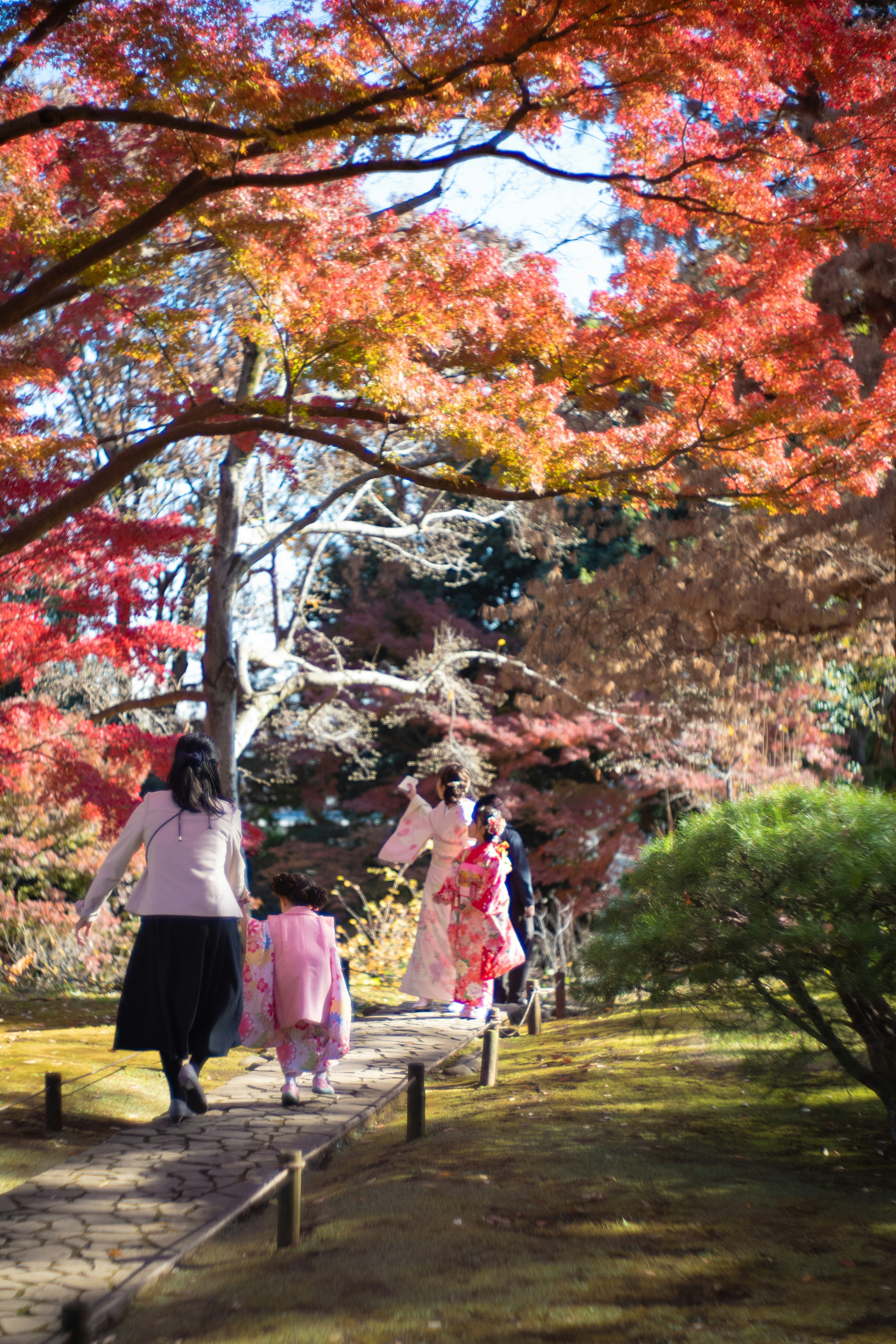 People walking among vibrant autumn leaves