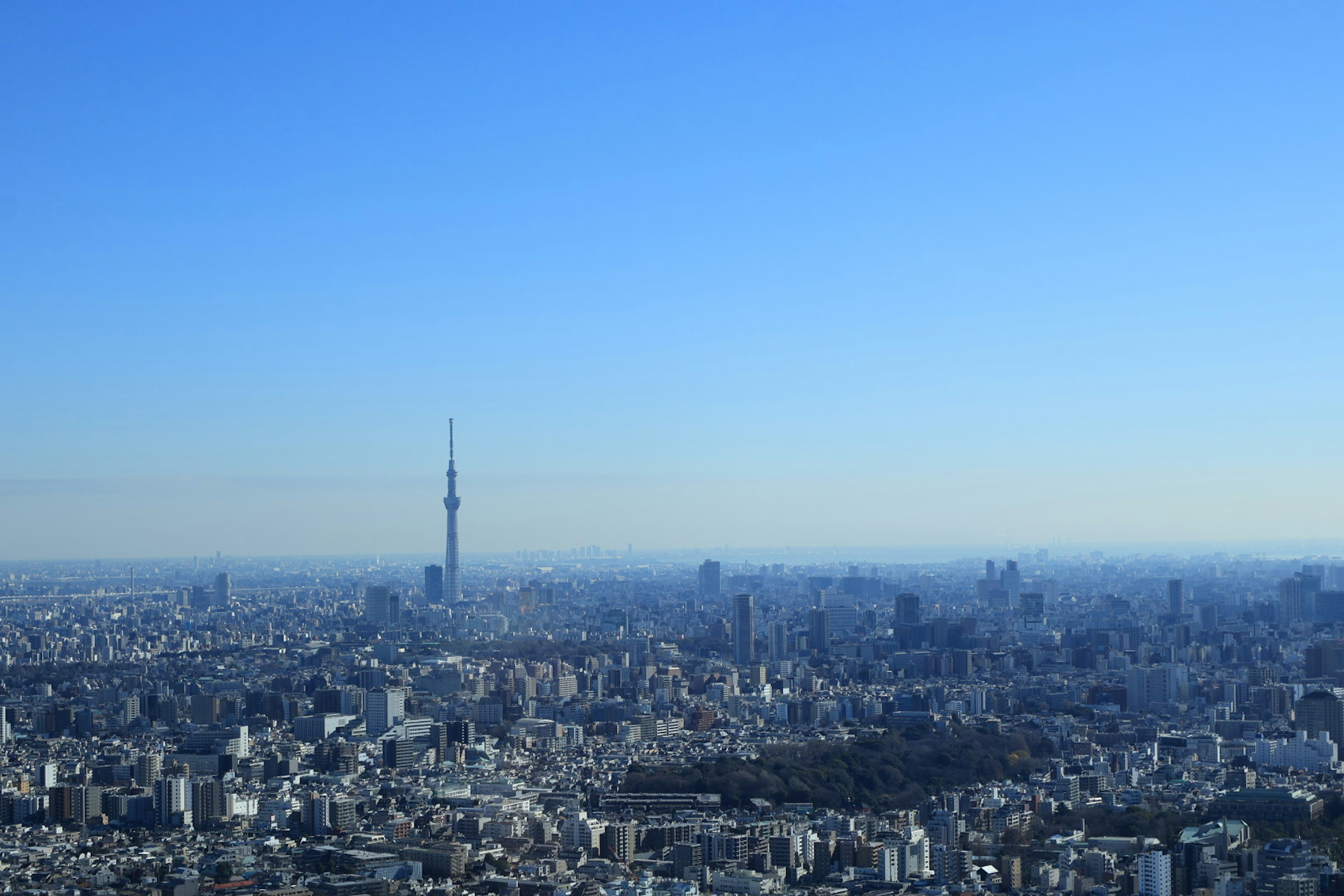 Panoramic view of Tokyo with Tokyo Skytree under a clear blue sky