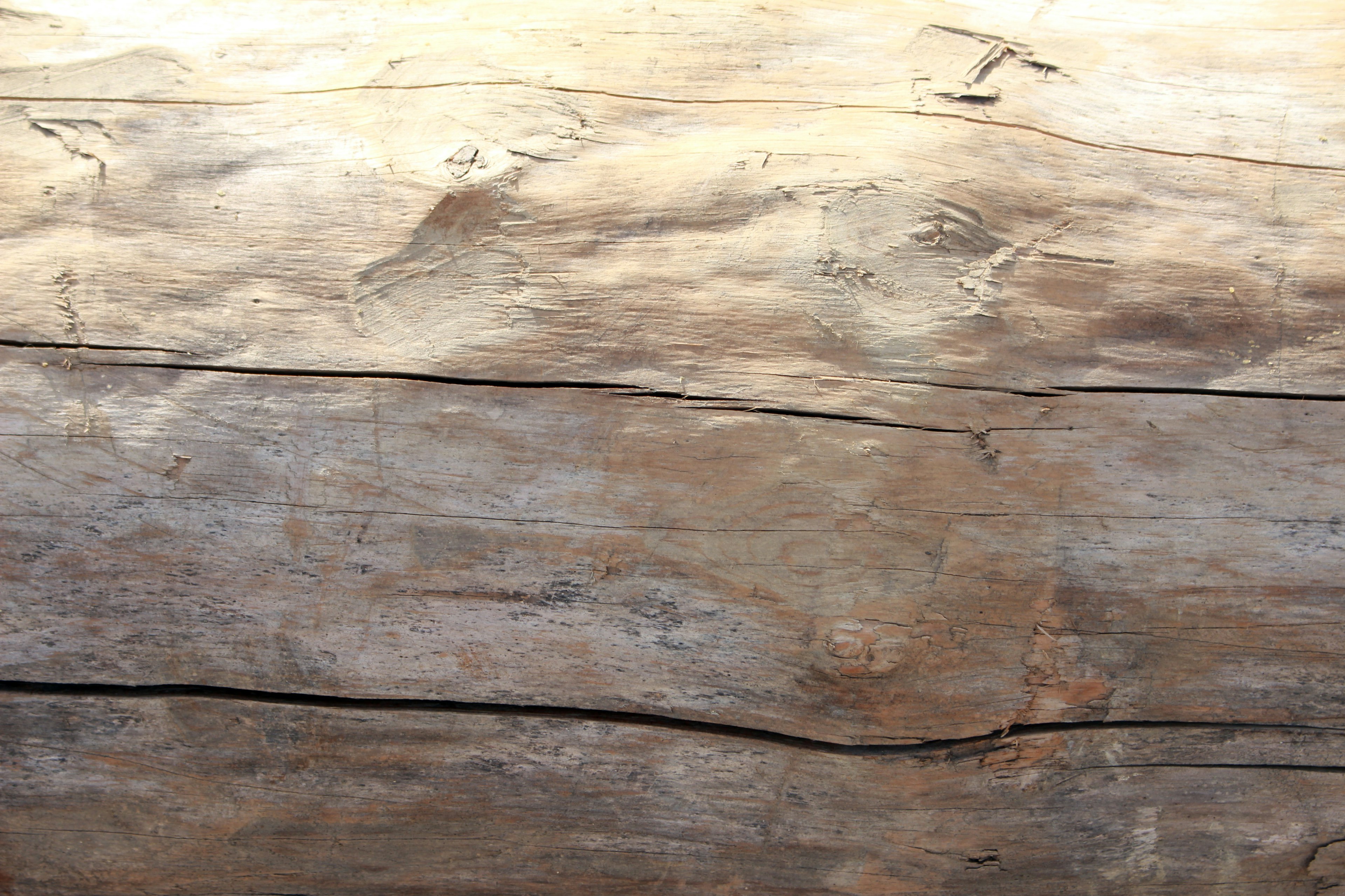 Primo piano di una superficie in legno con texture e motivi naturali