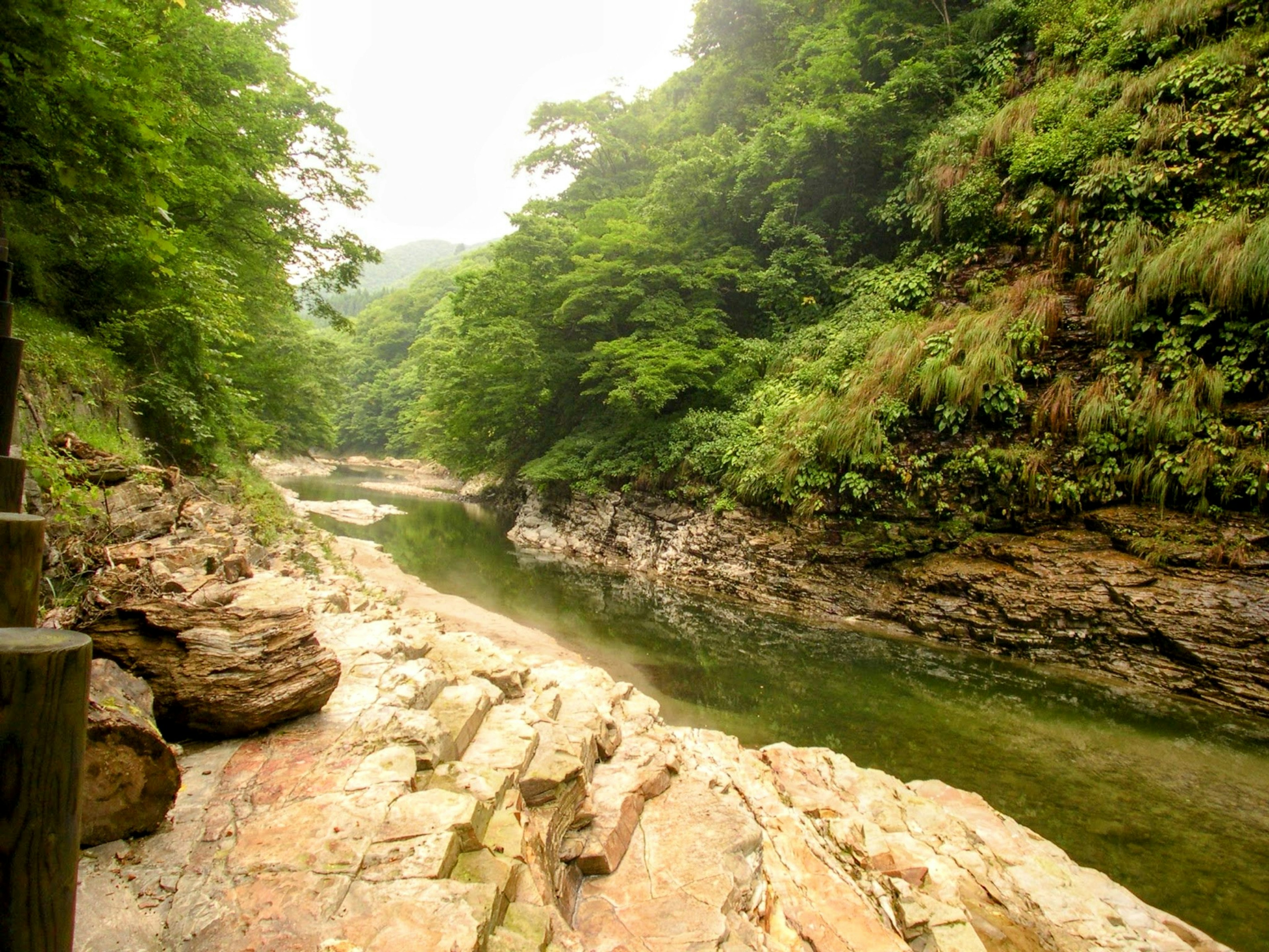 Paesaggio fluviale sereno circondato da una vegetazione lussureggiante