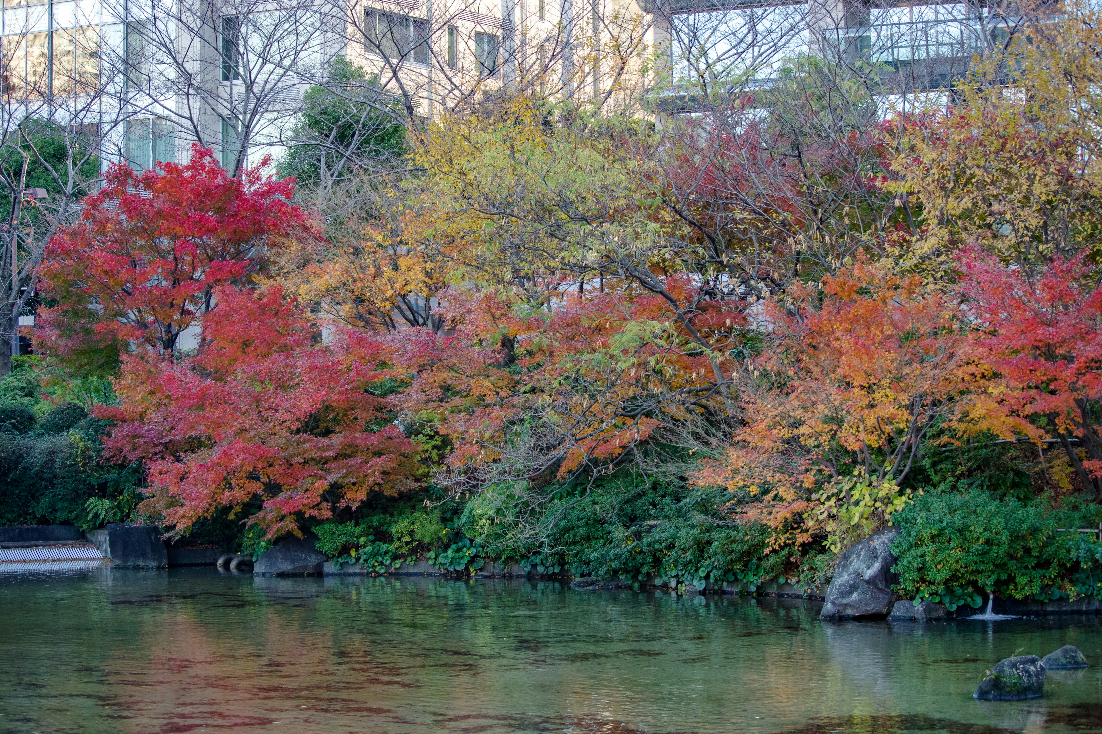 Beautiful autumn foliage reflecting on the water