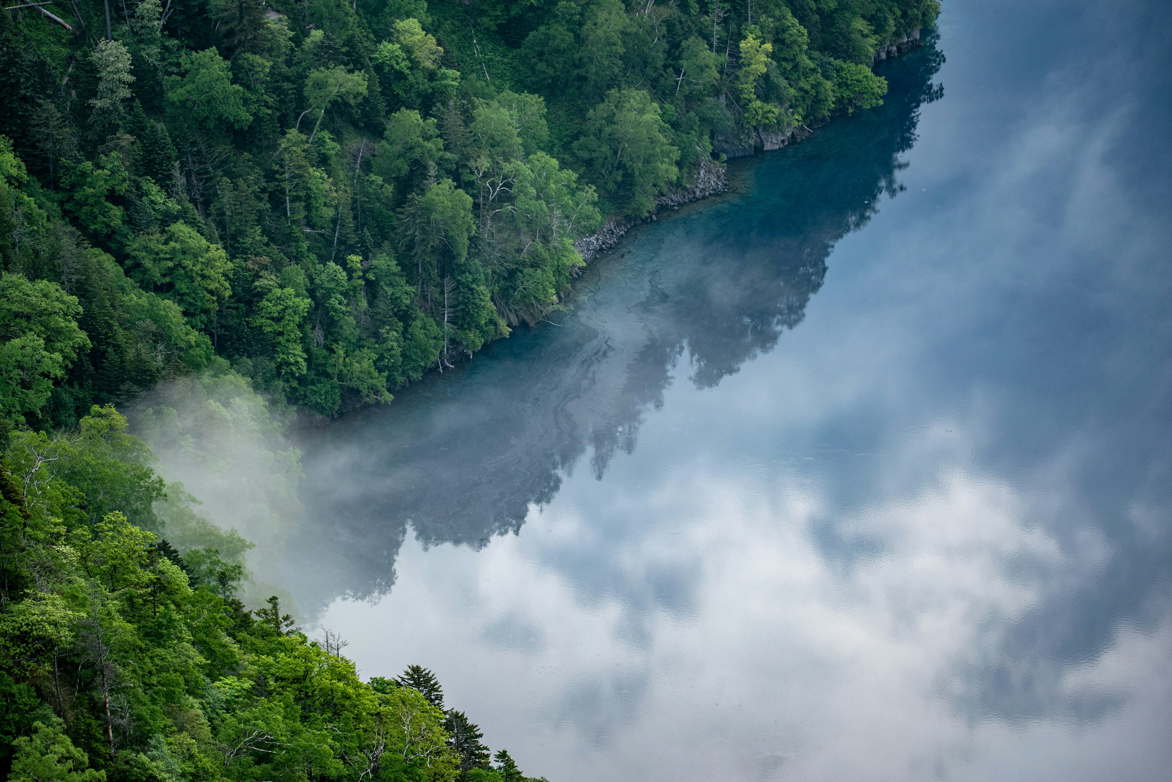 Vegetazione lussureggiante che si riflette su una superficie d'acqua calma in un paesaggio naturale