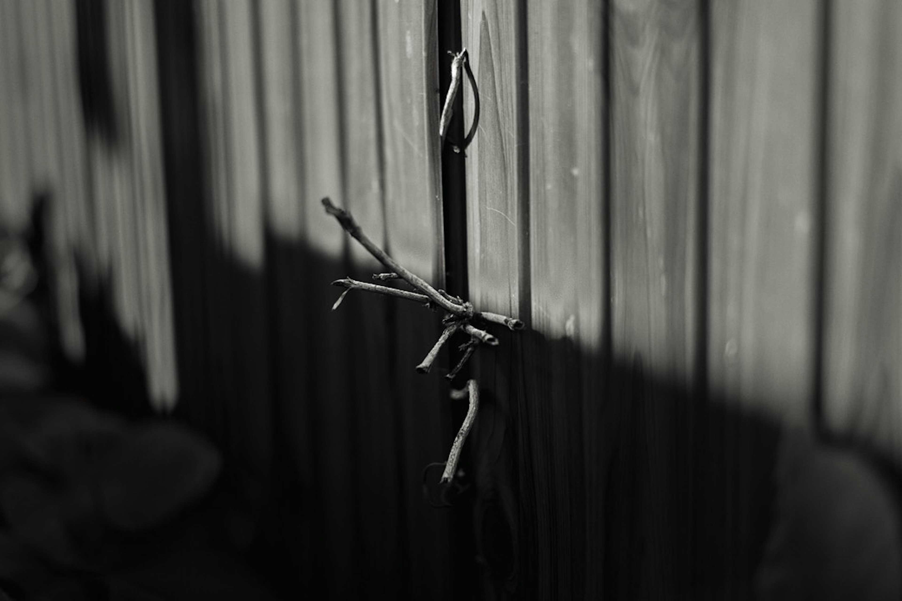 A close-up of twisted wire and small branches against a black and white background