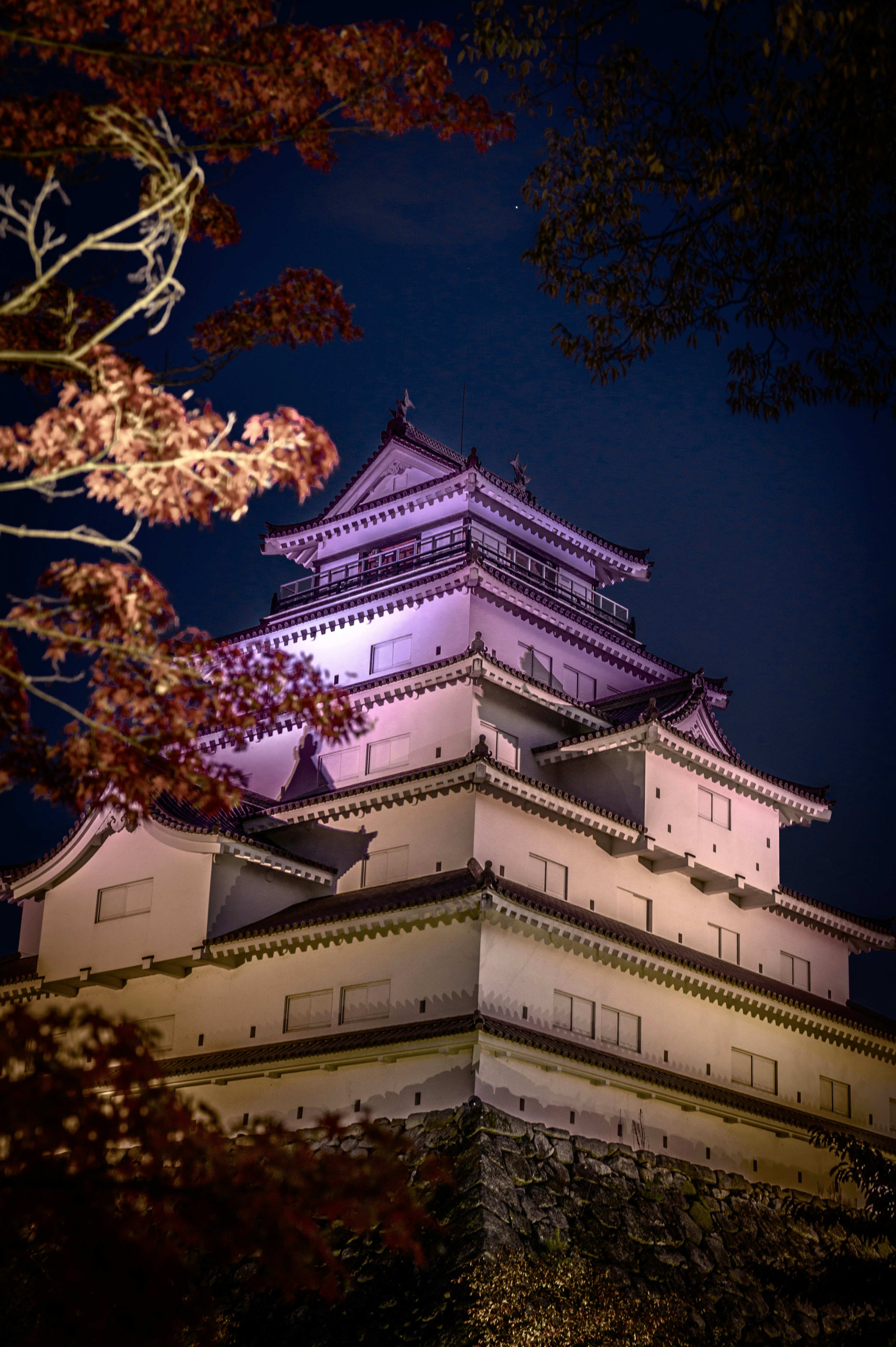 夜の照明で美しく照らされた城の塔と秋の紅葉