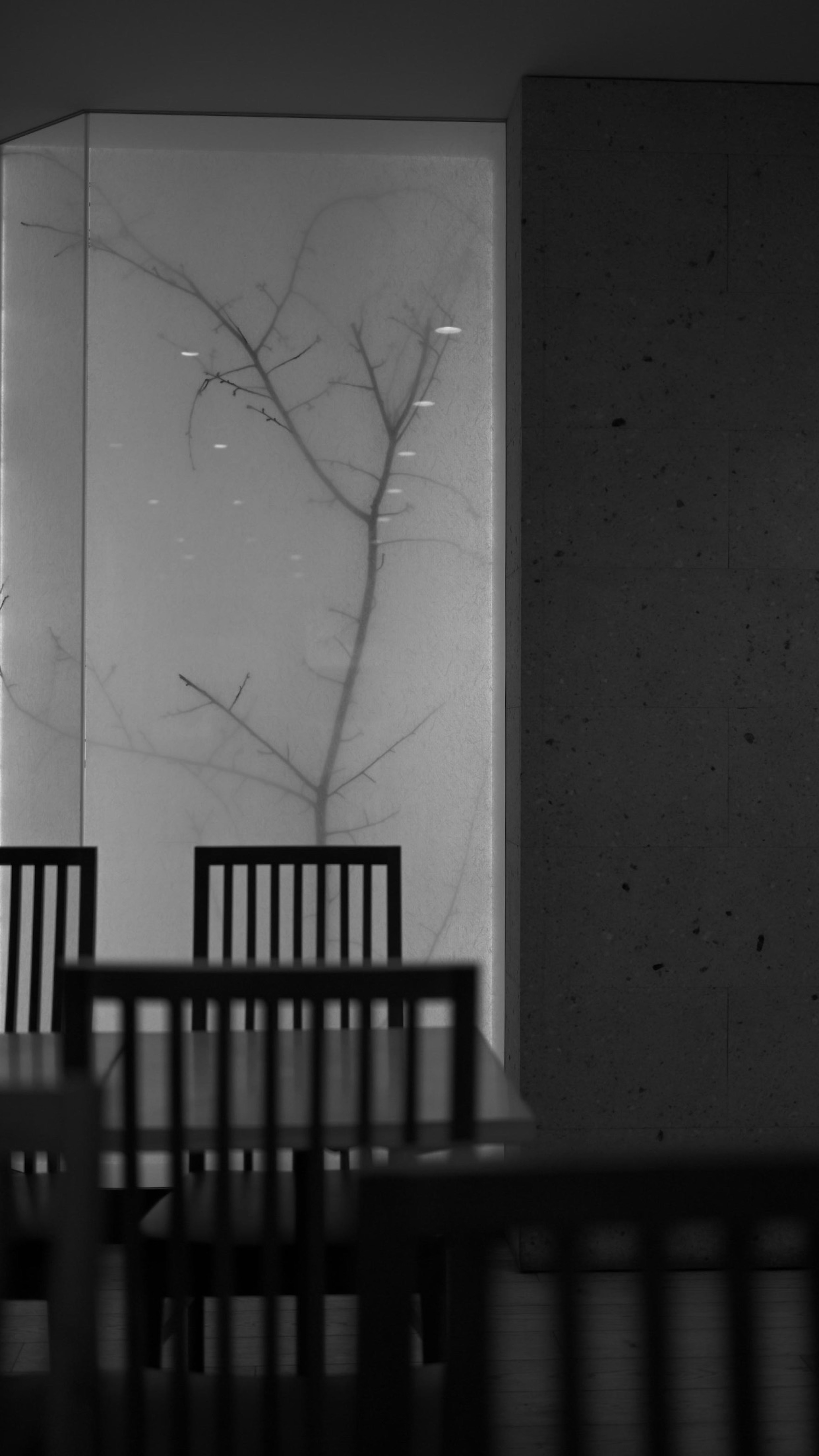 Shadow of a tree projected on a wall with silhouettes of chairs in a monochrome setting