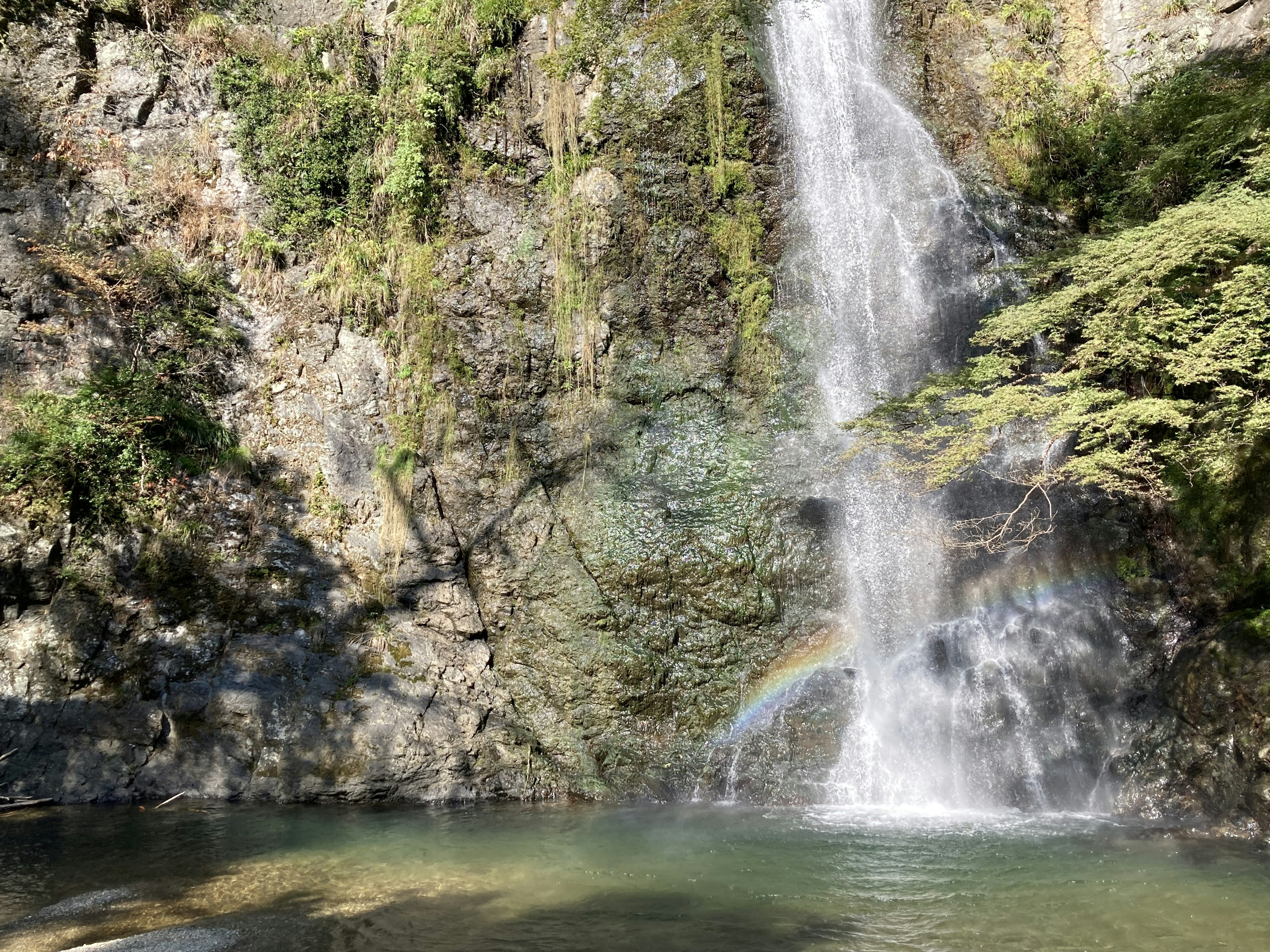 Beautiful waterfall surrounded by lush greenery