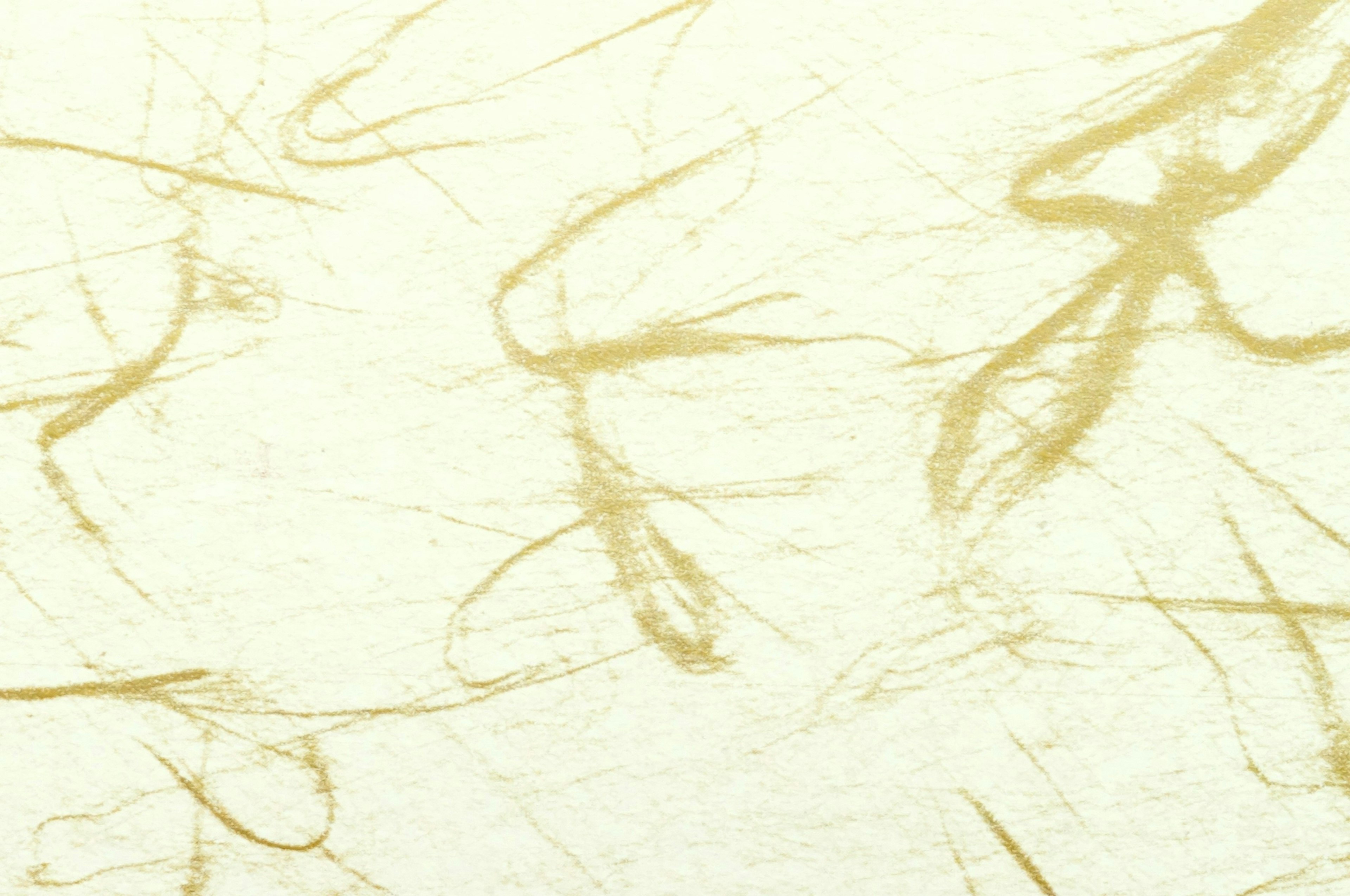 Cream-colored background with faint golden lines