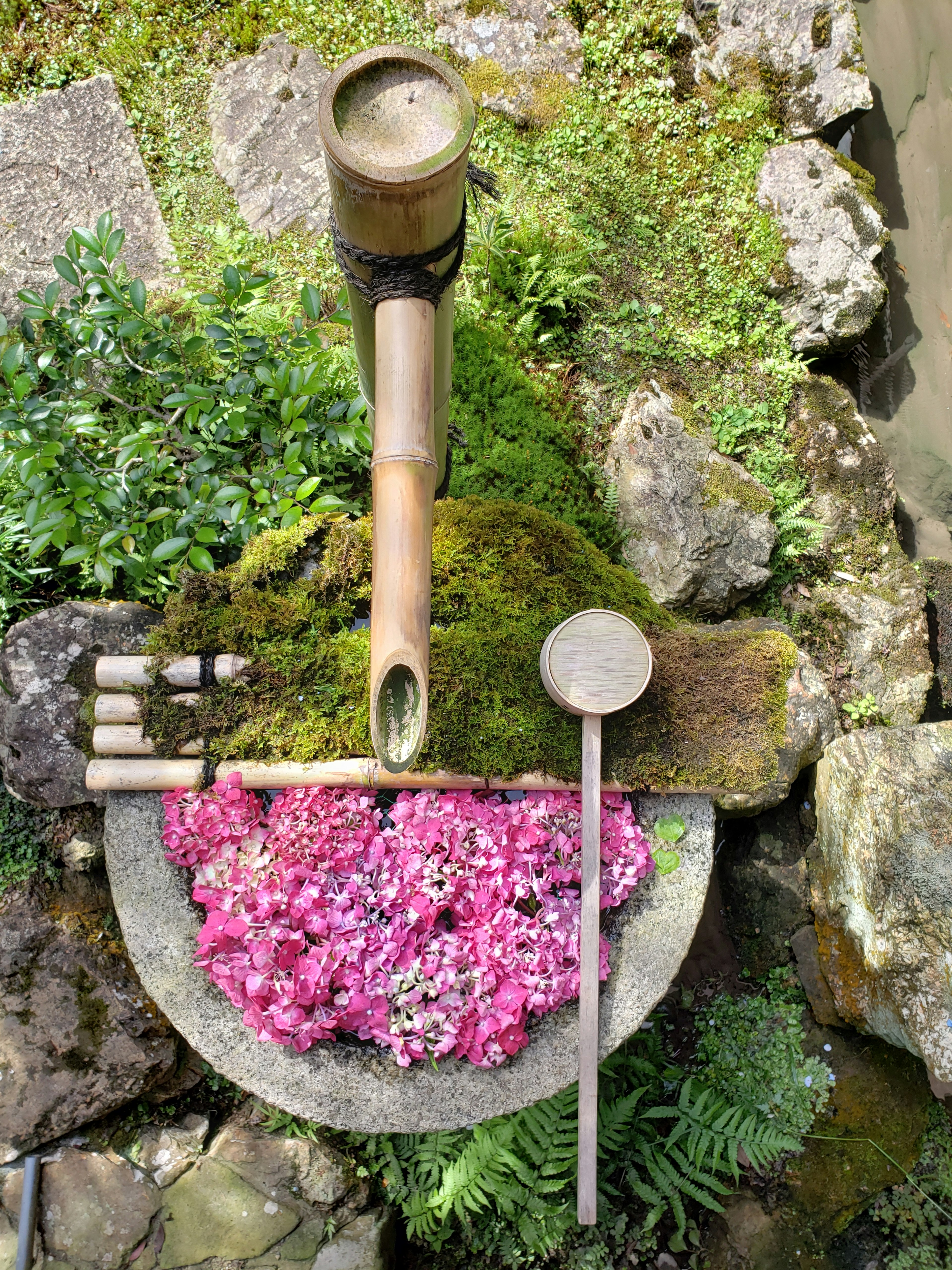 Ein steinerner Becken umgeben von grünem Moos mit verstreuten rosa Blumen und einem Bambus-Wasserspender