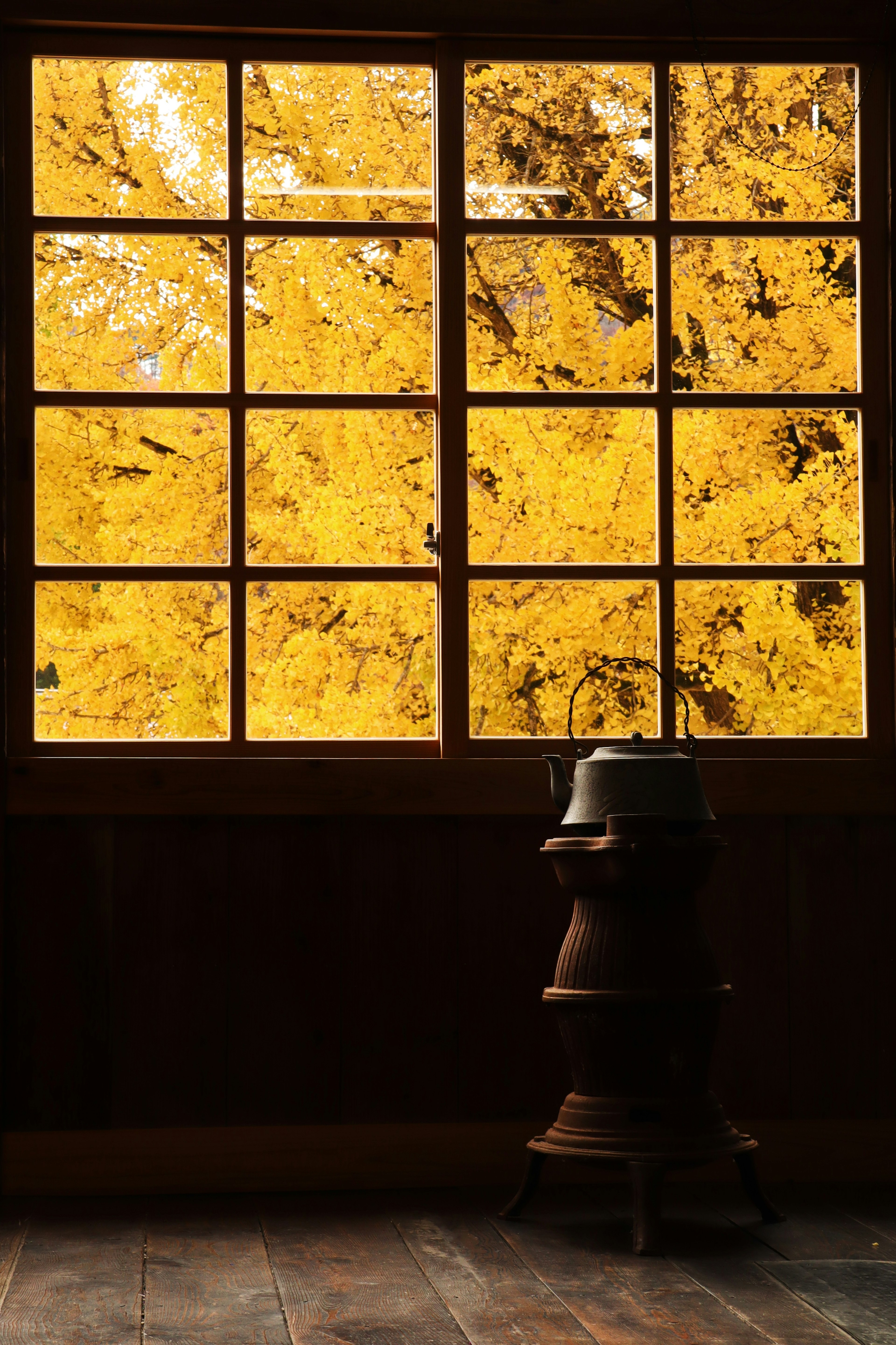 Vista de hojas de otoño amarillas vibrantes a través de una ventana