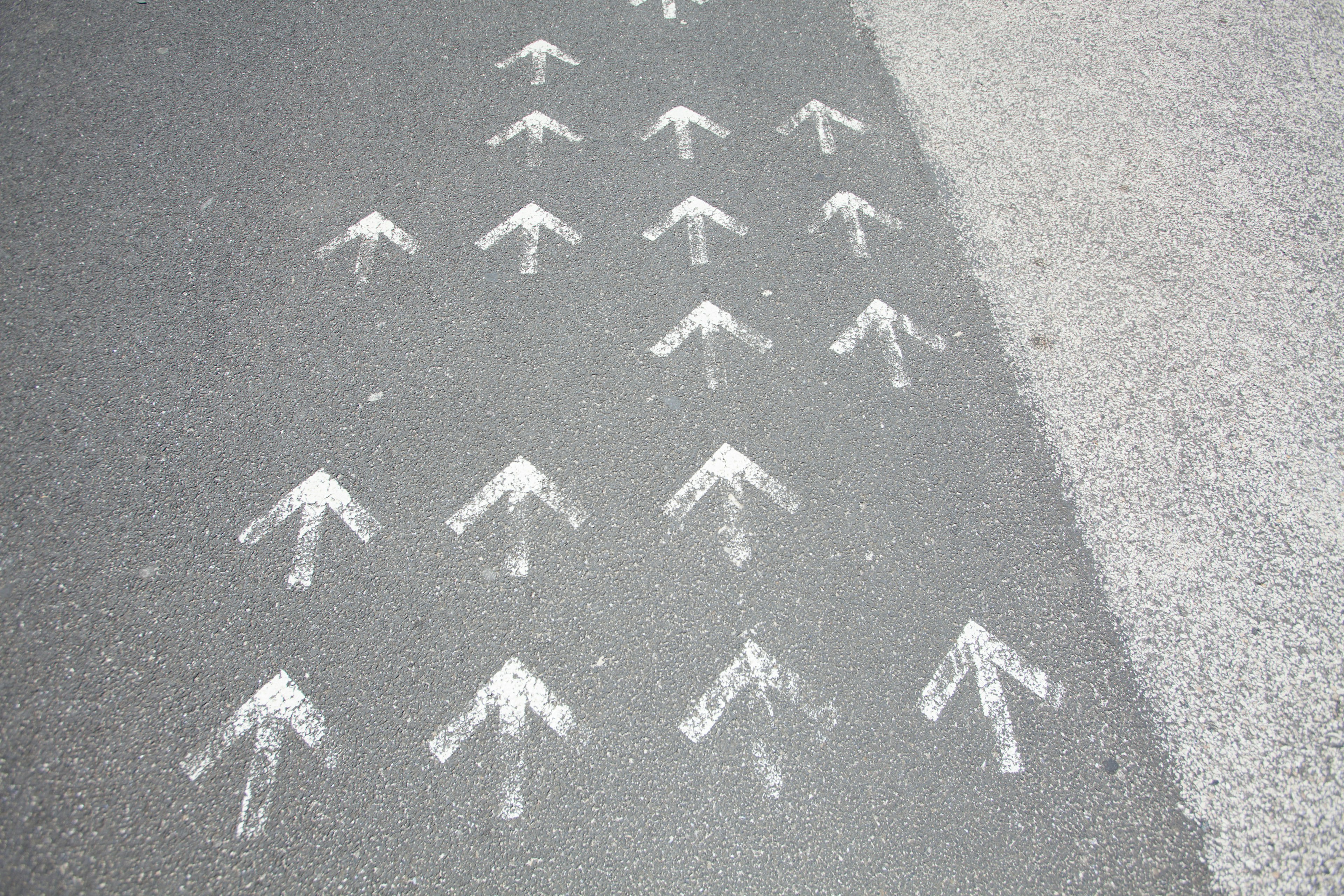 Flèches blanches peintes sur une route en asphalte