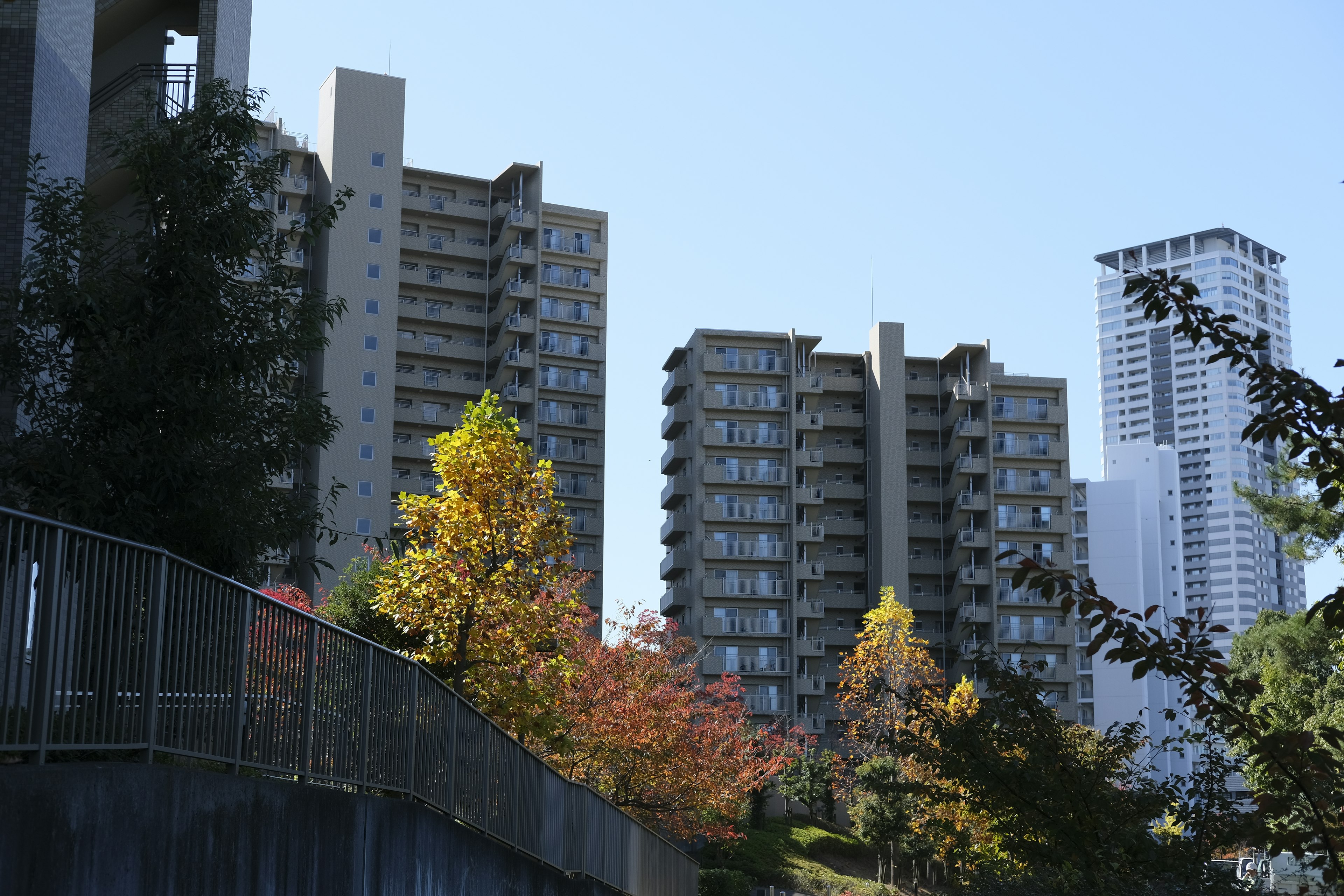 Städtische Landschaft mit Herbstfarben, Hochhäusern und grünen Bäumen