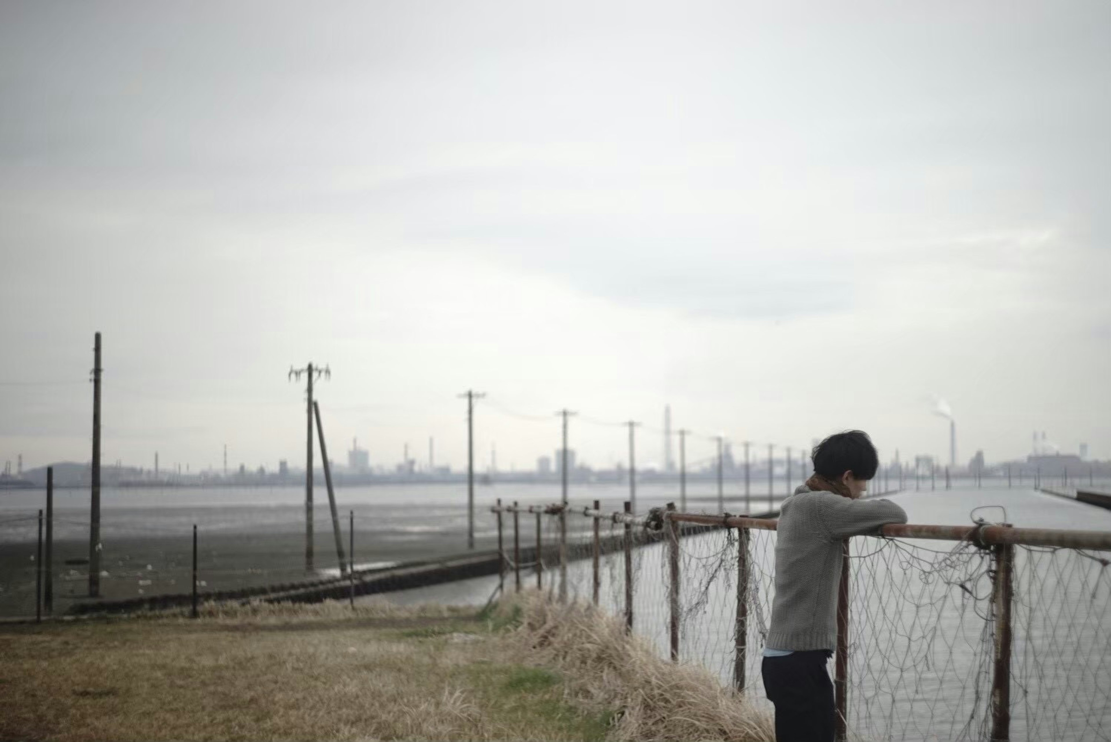 A boy leaning on a fence looking into the distance in a muted landscape