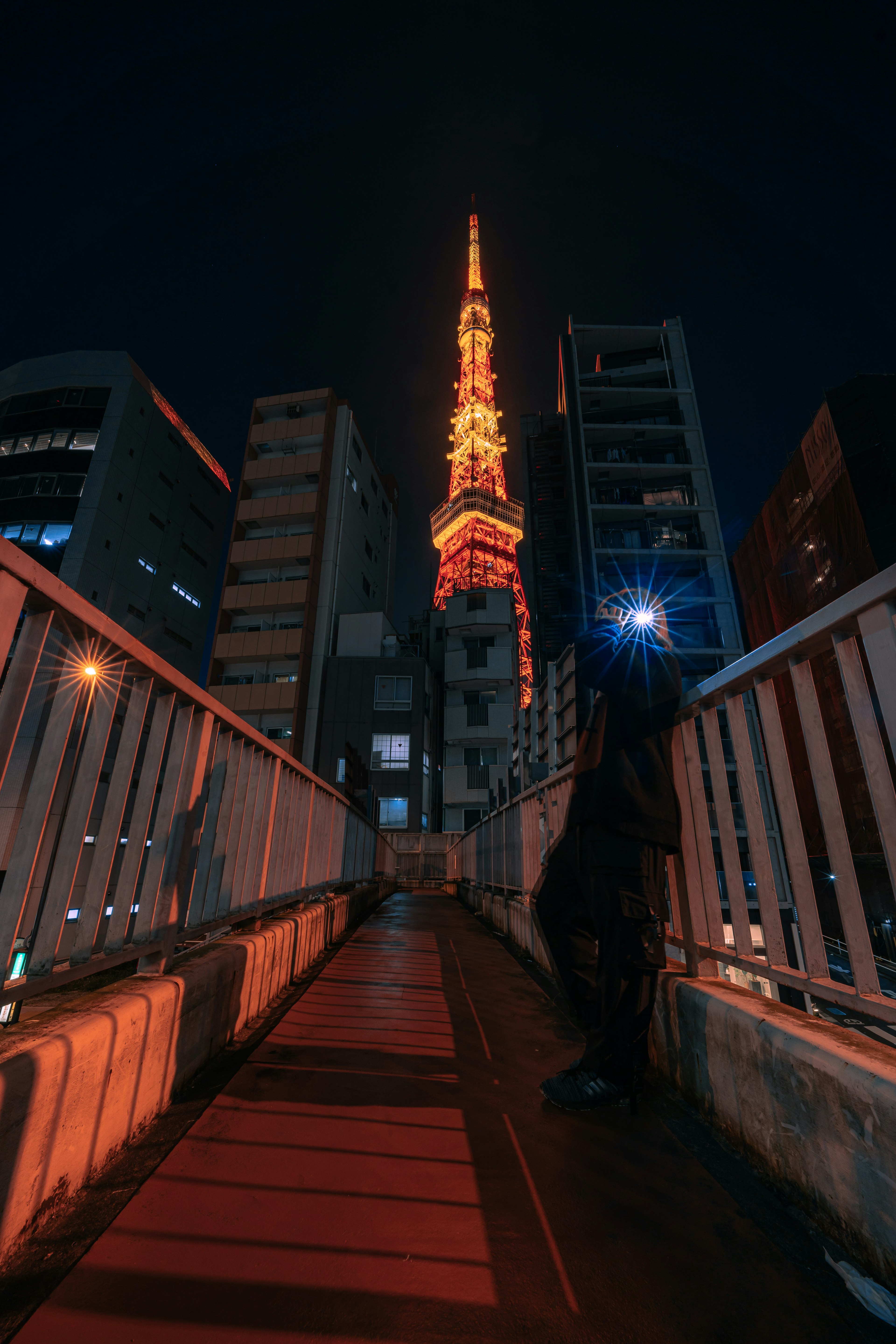 東京タワーが夜に輝く都市の風景