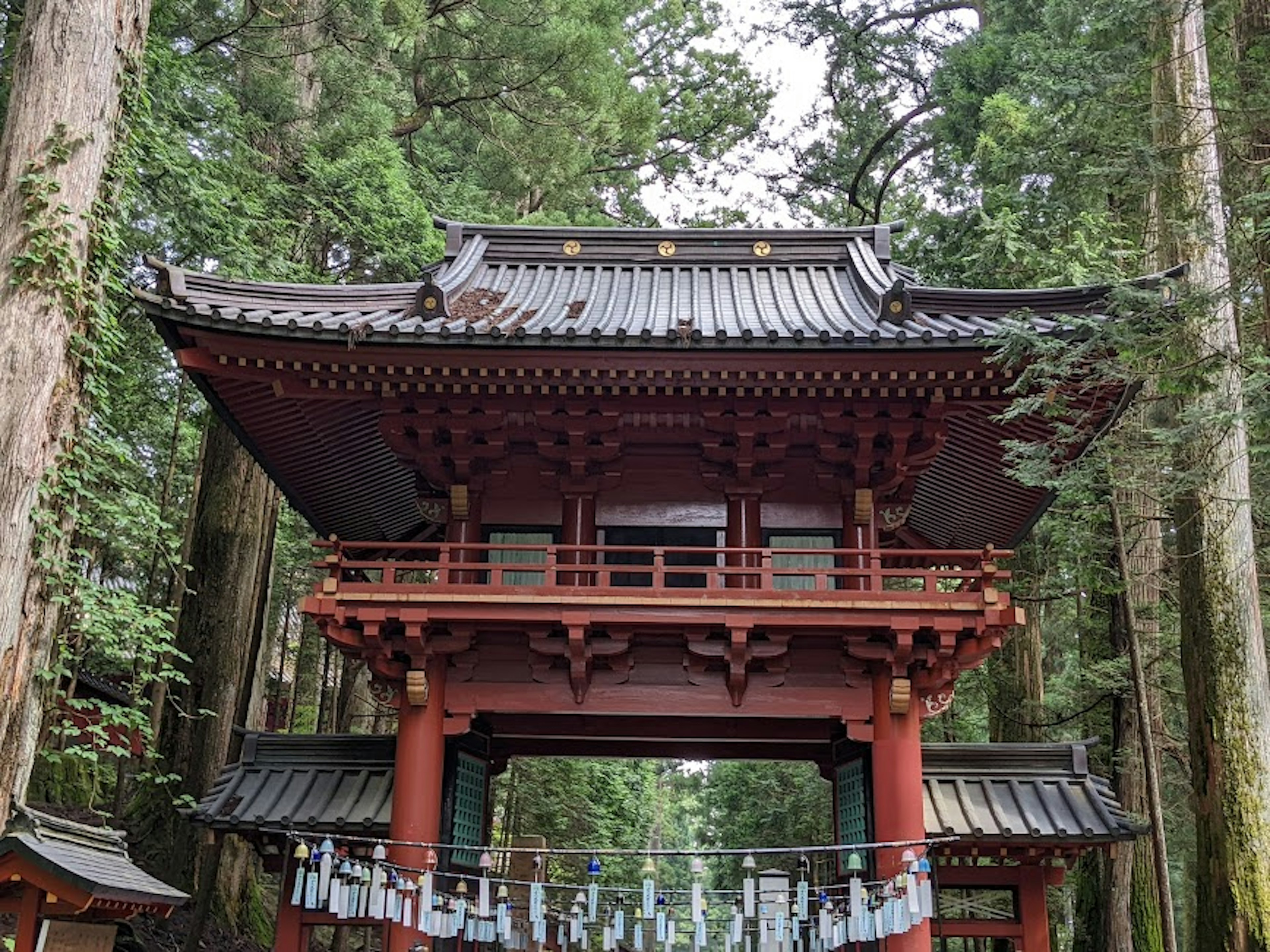 緑の木々に囲まれた赤い神社の門が見える