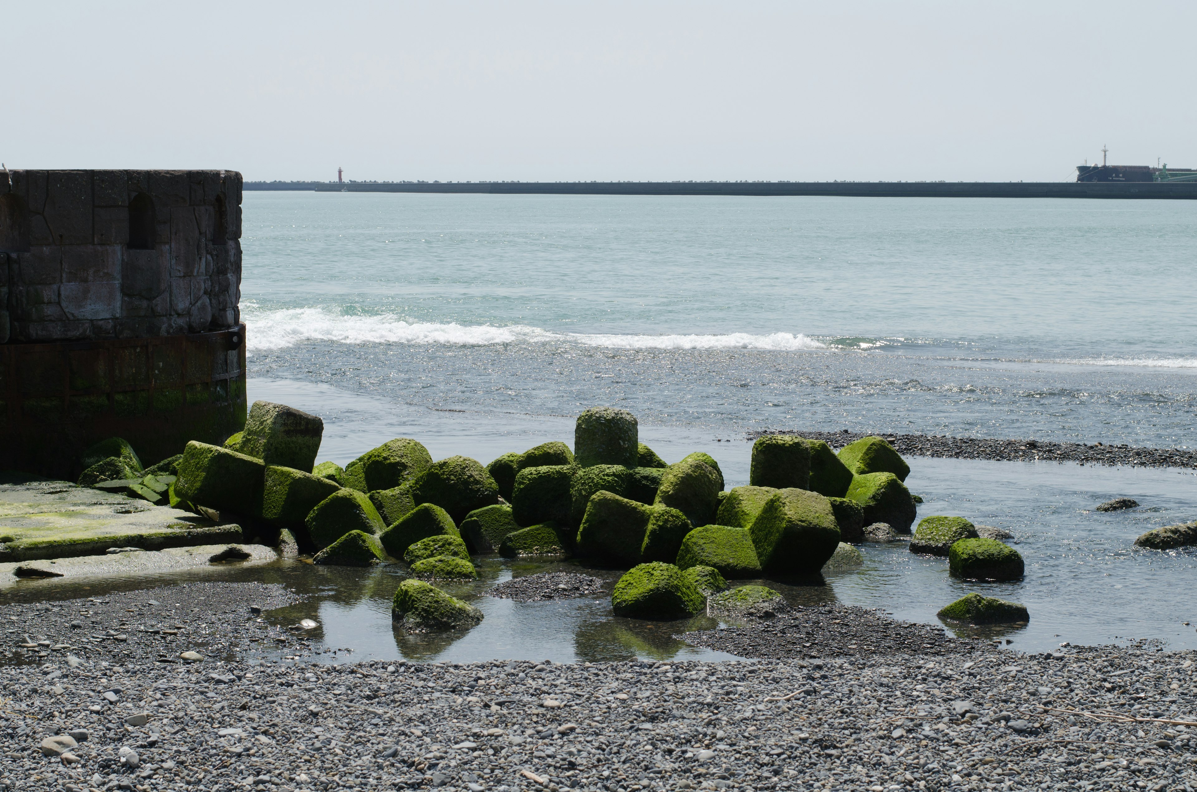 Küstenansicht mit moosbedeckten Felsen und ruhigem Wasser